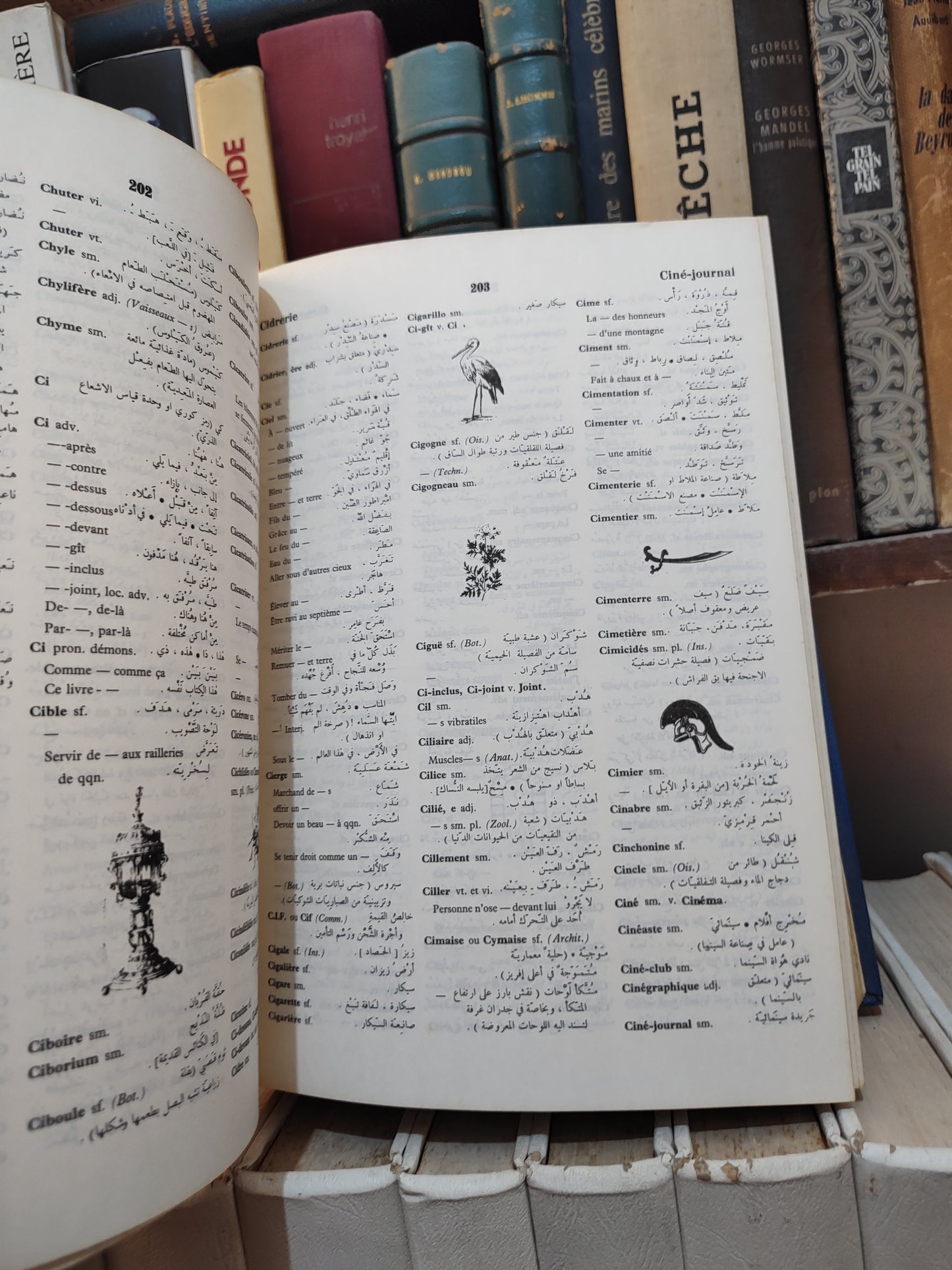 المنهل قاموس فرنسي عربي