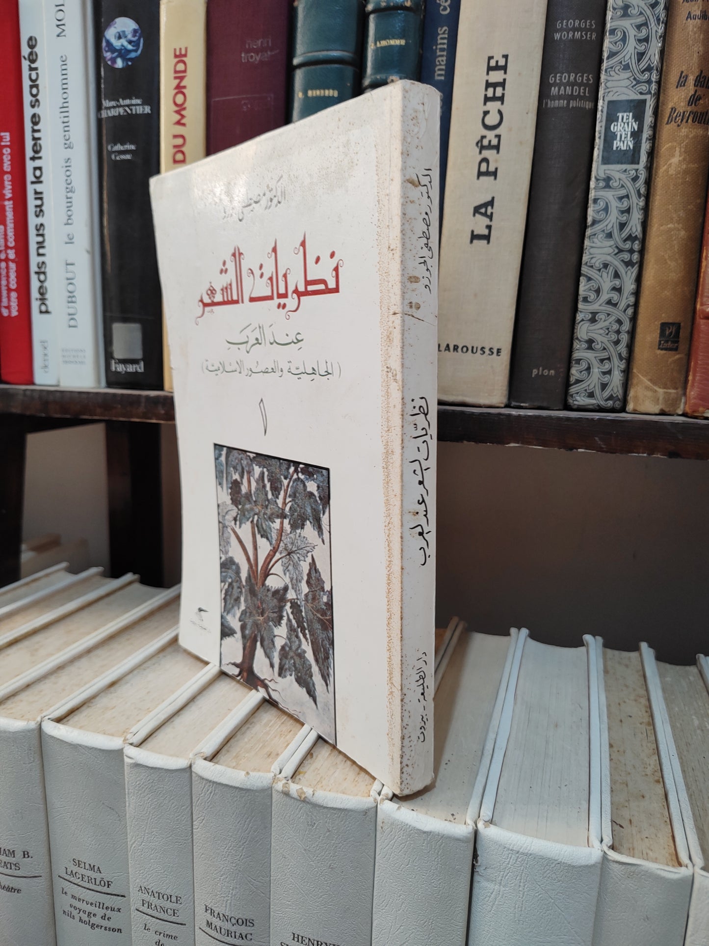 نظريات الشعر عن العرب 1