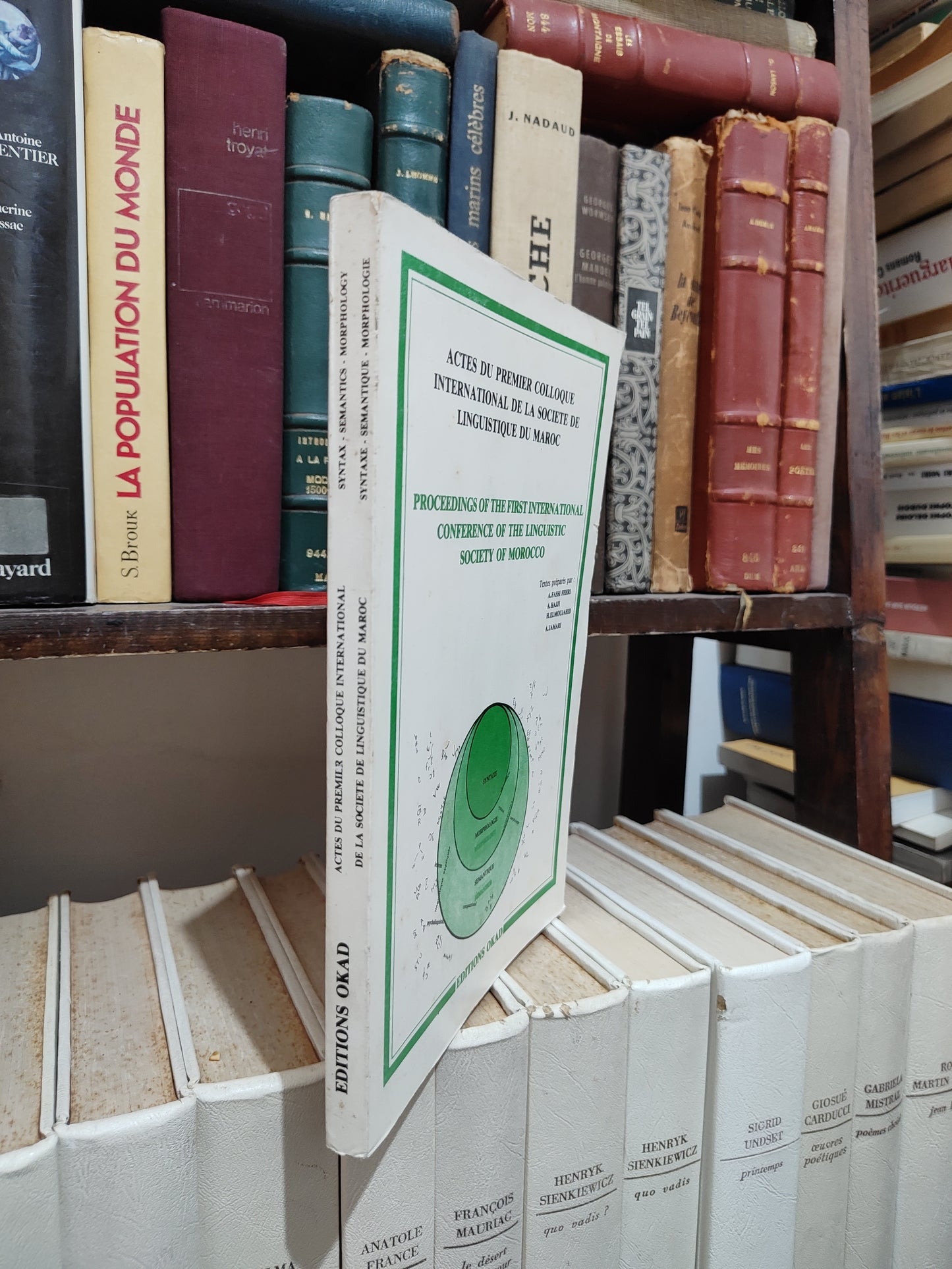 Actes du premier colloque international de la société de linguistique du Maroc