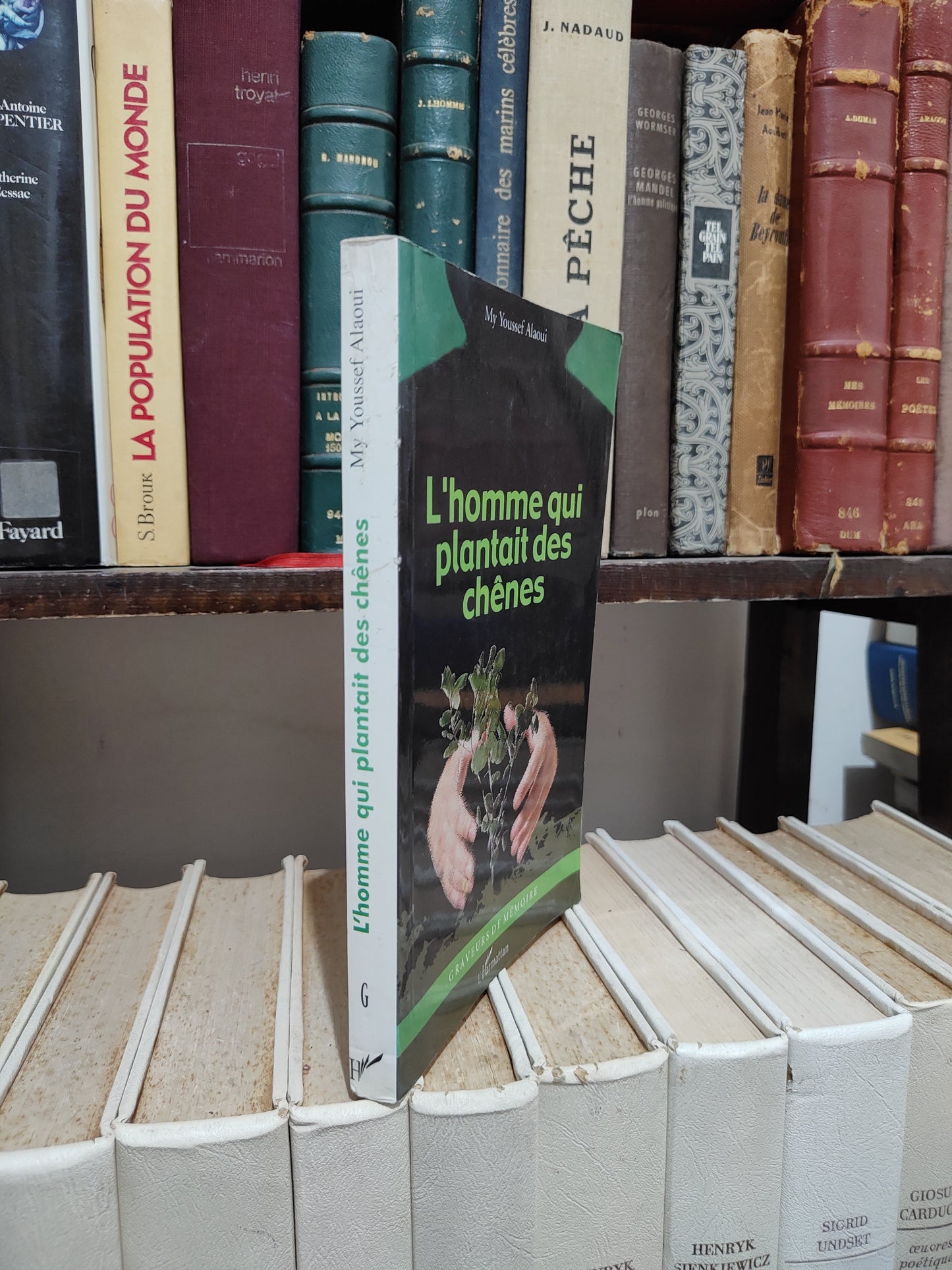 Alaoui - L'homme qui plantait des chênes