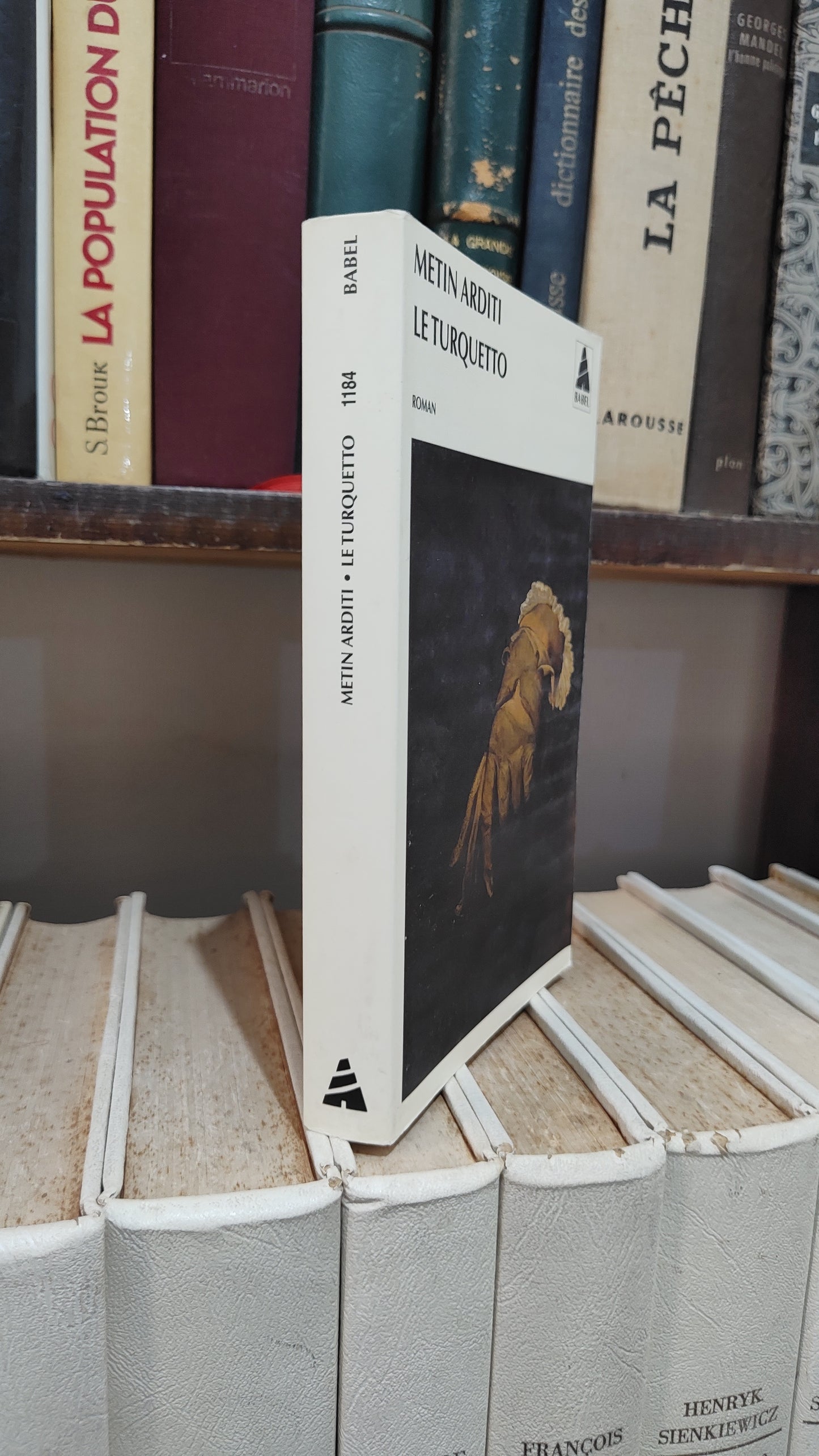 Arditi - Le turquetto