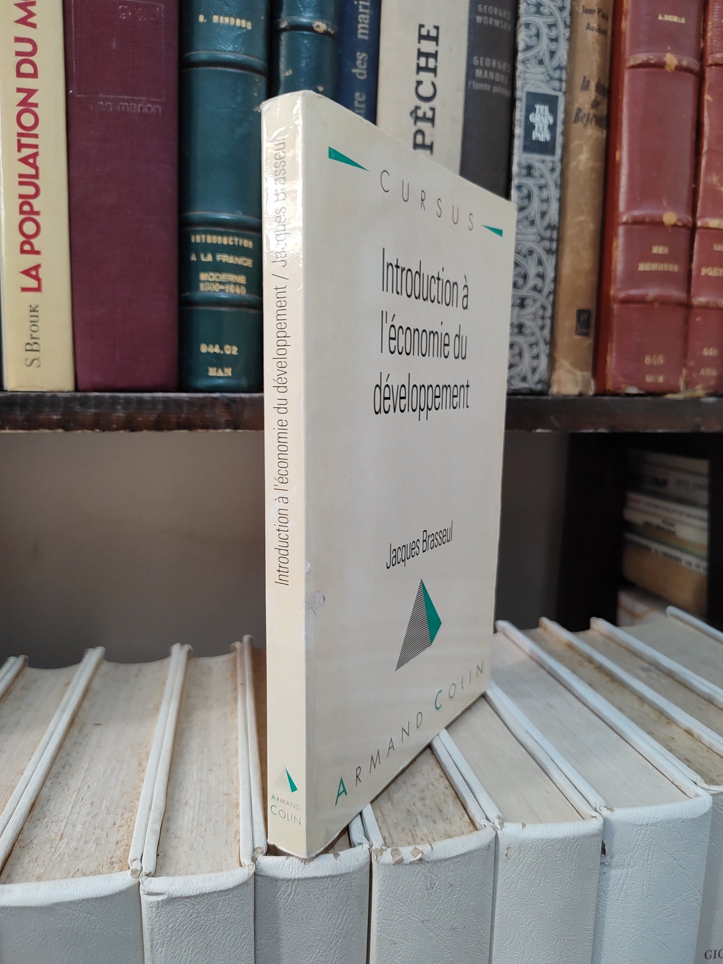 Brasseul - Introduction à l'économie du développement
