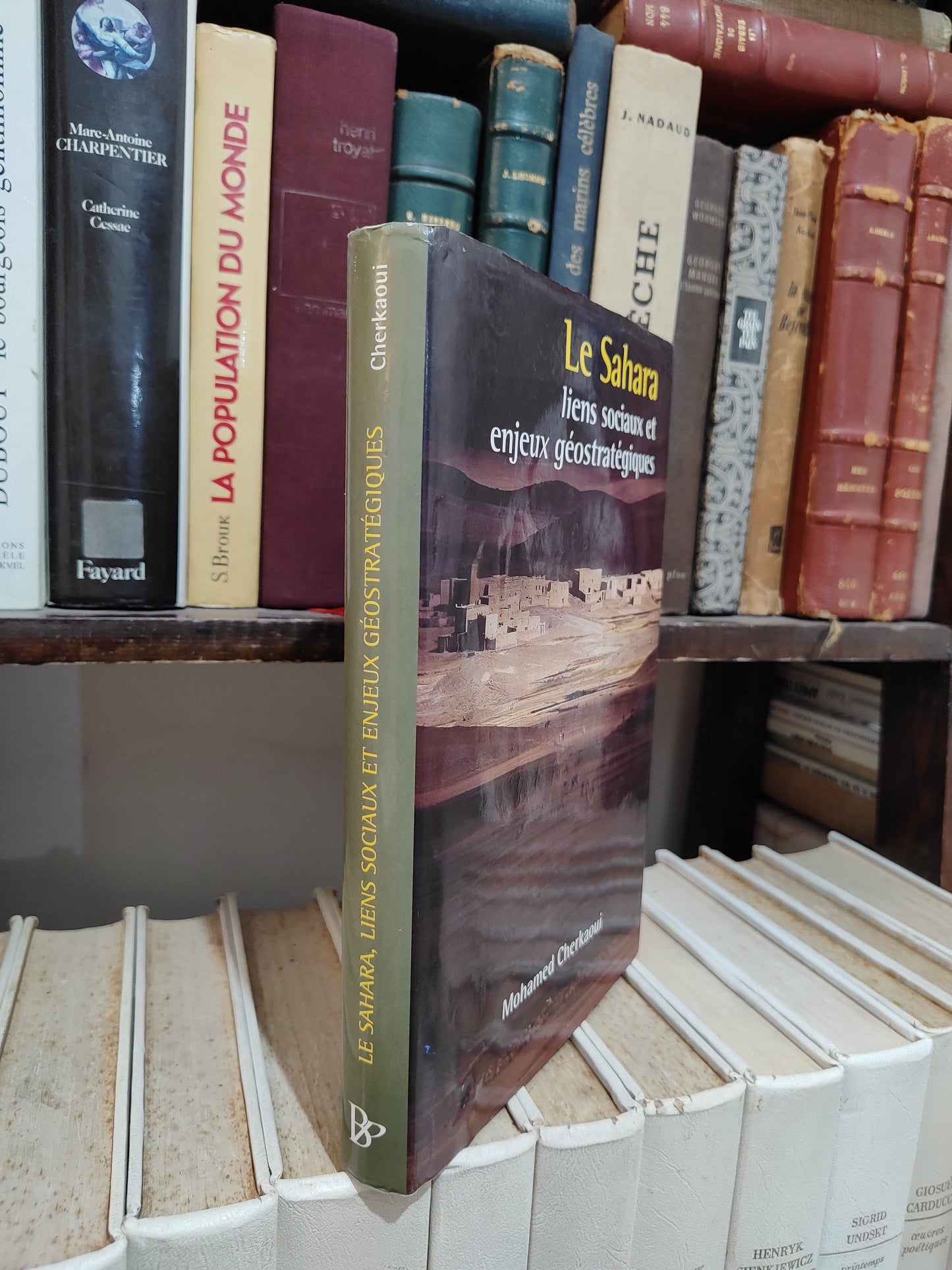 Cherkaoui - Le Sahara : Liens sociaux et enjeux géostratégiques