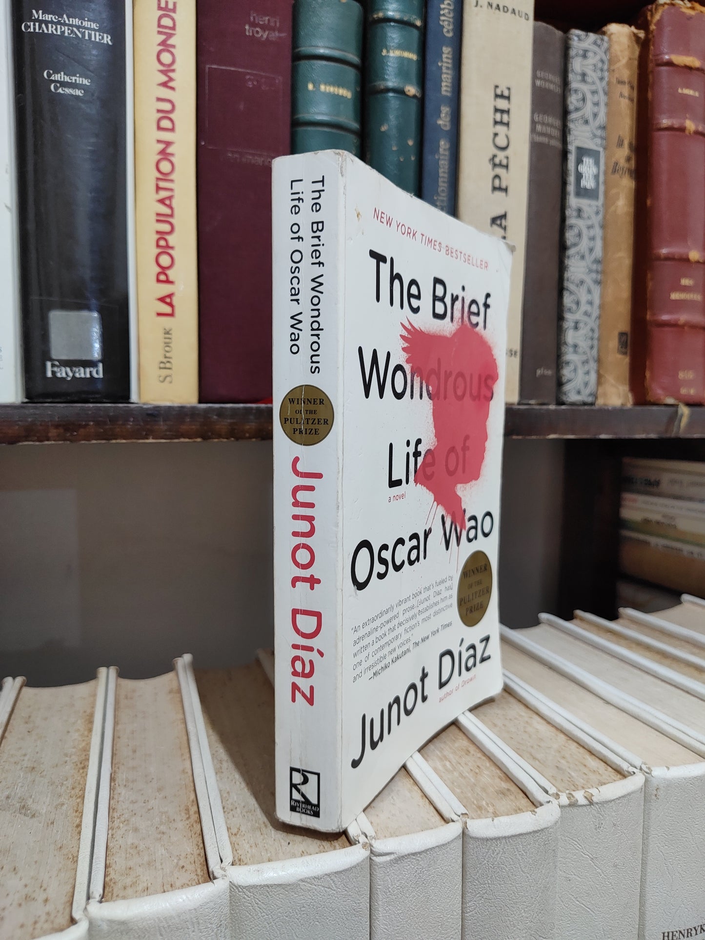 Diaz - The Brief Wondrous Life of Oscar Wao