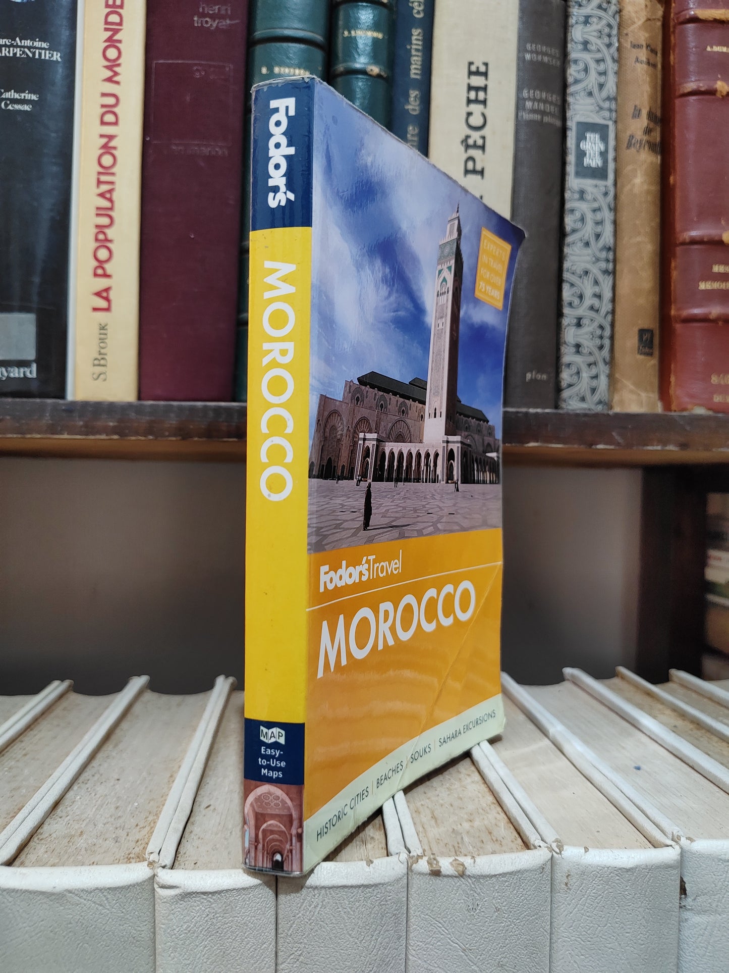 Fodor's Travel Morocco
