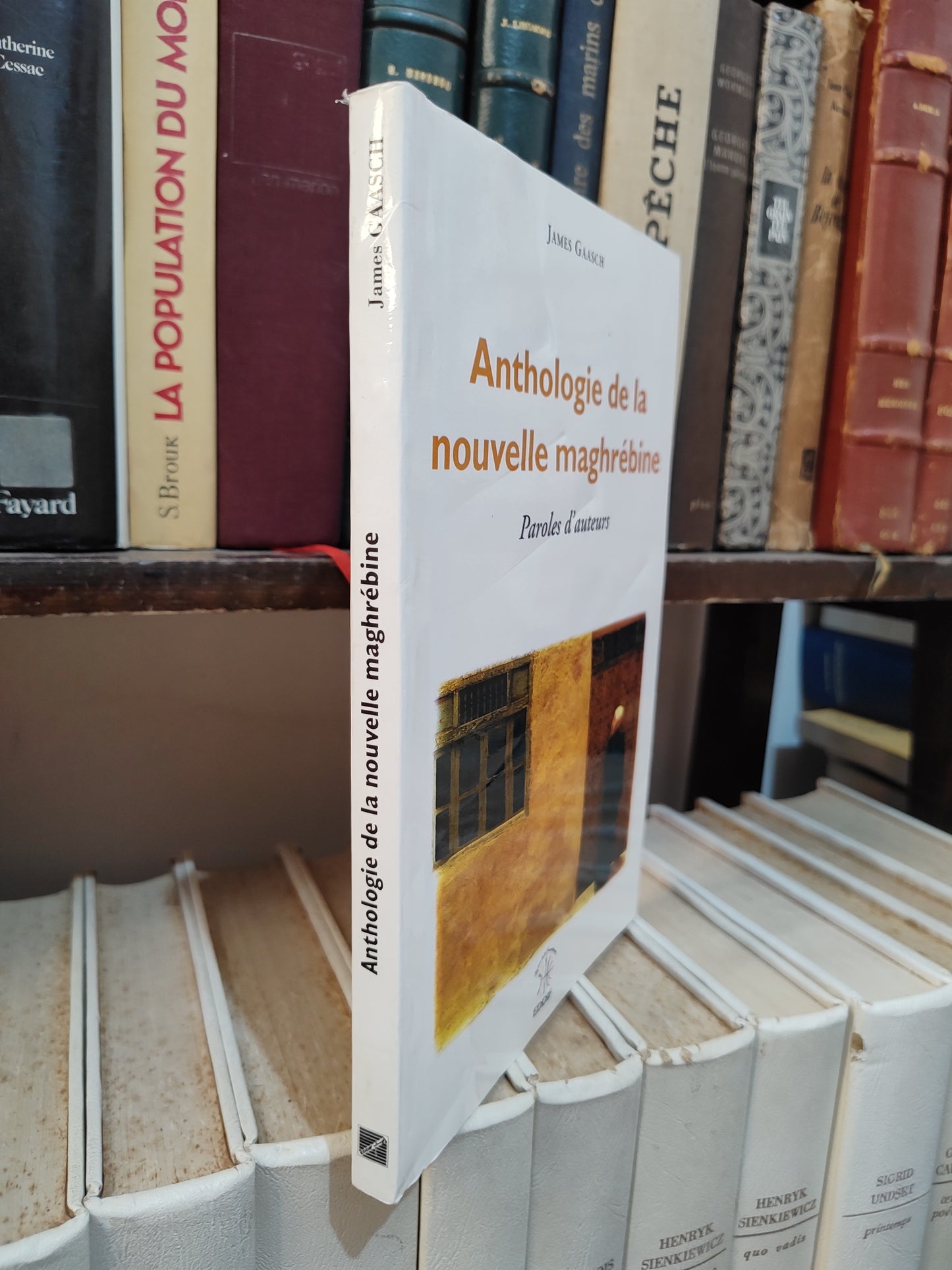 Gaasch - Anthologie de la nouvelle maghrébine