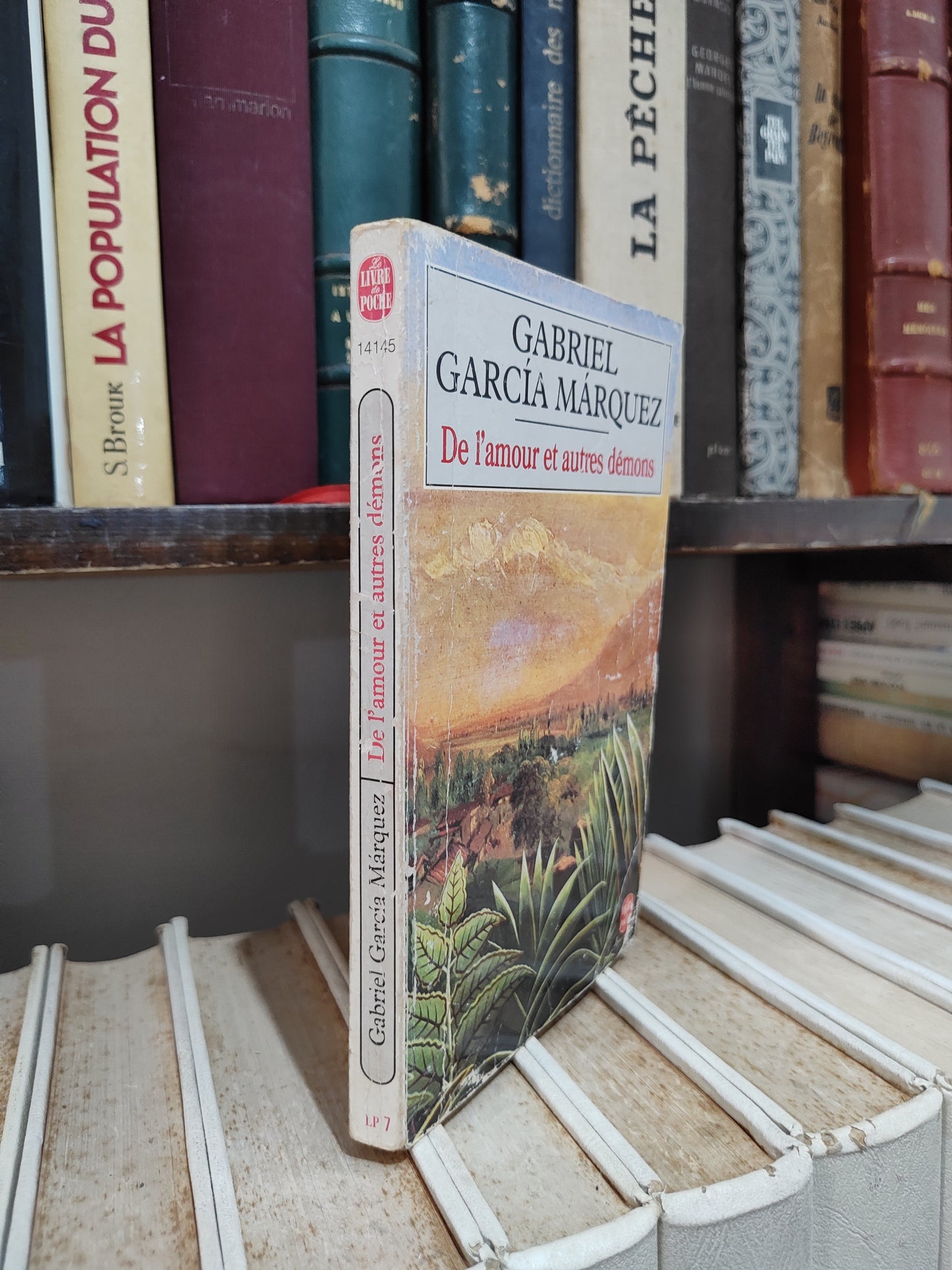 Garcia - De l'amour et d'autres démons