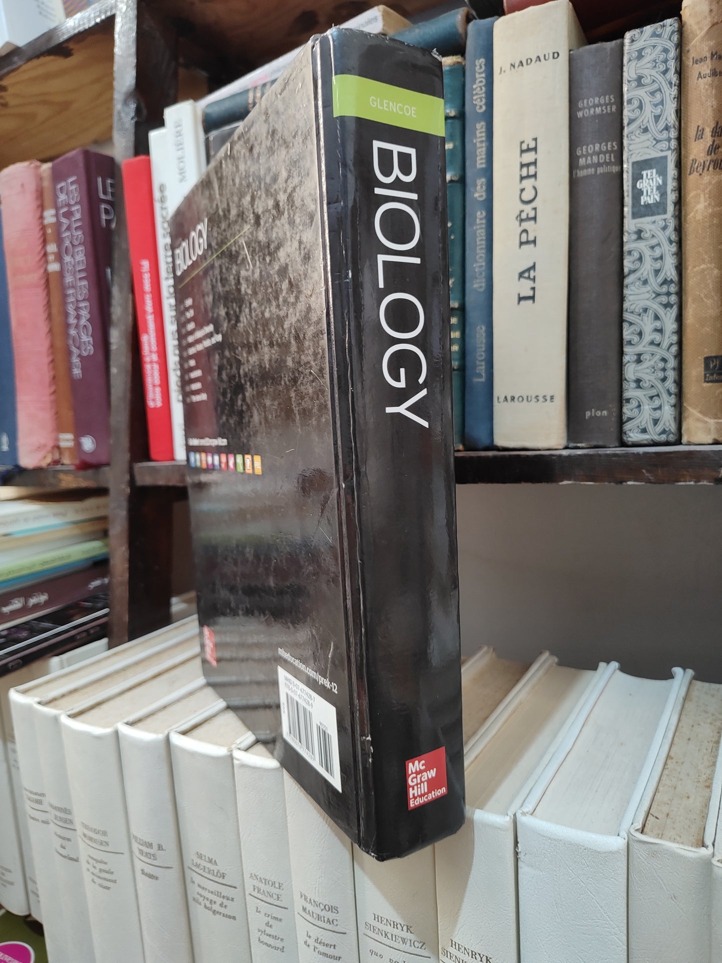 Glencoe - Biology