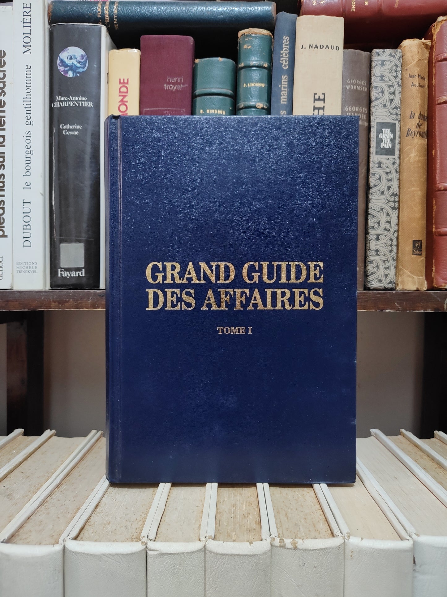 Grand guide des affaires Tome 1