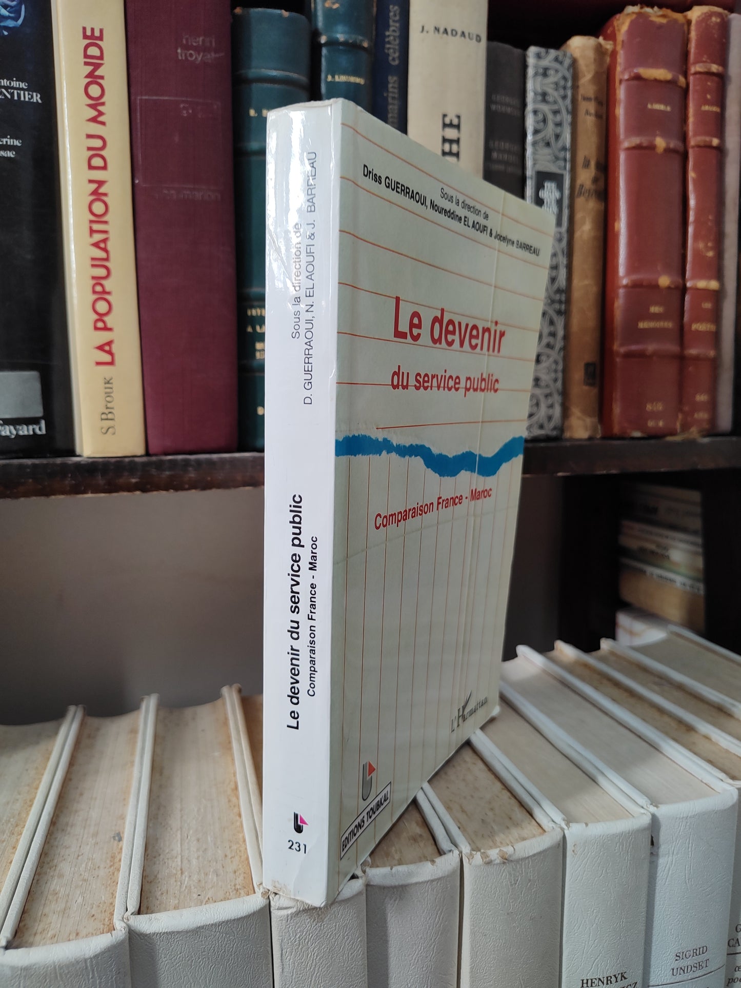 Guerraoui - Le devenir du service public