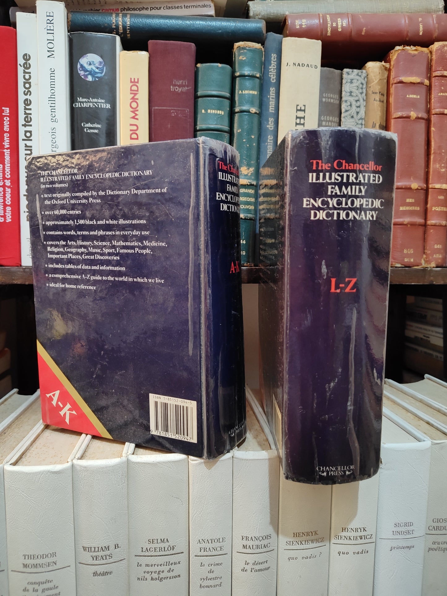 The Chancellor Illustrated Encyclopedic Dictionary