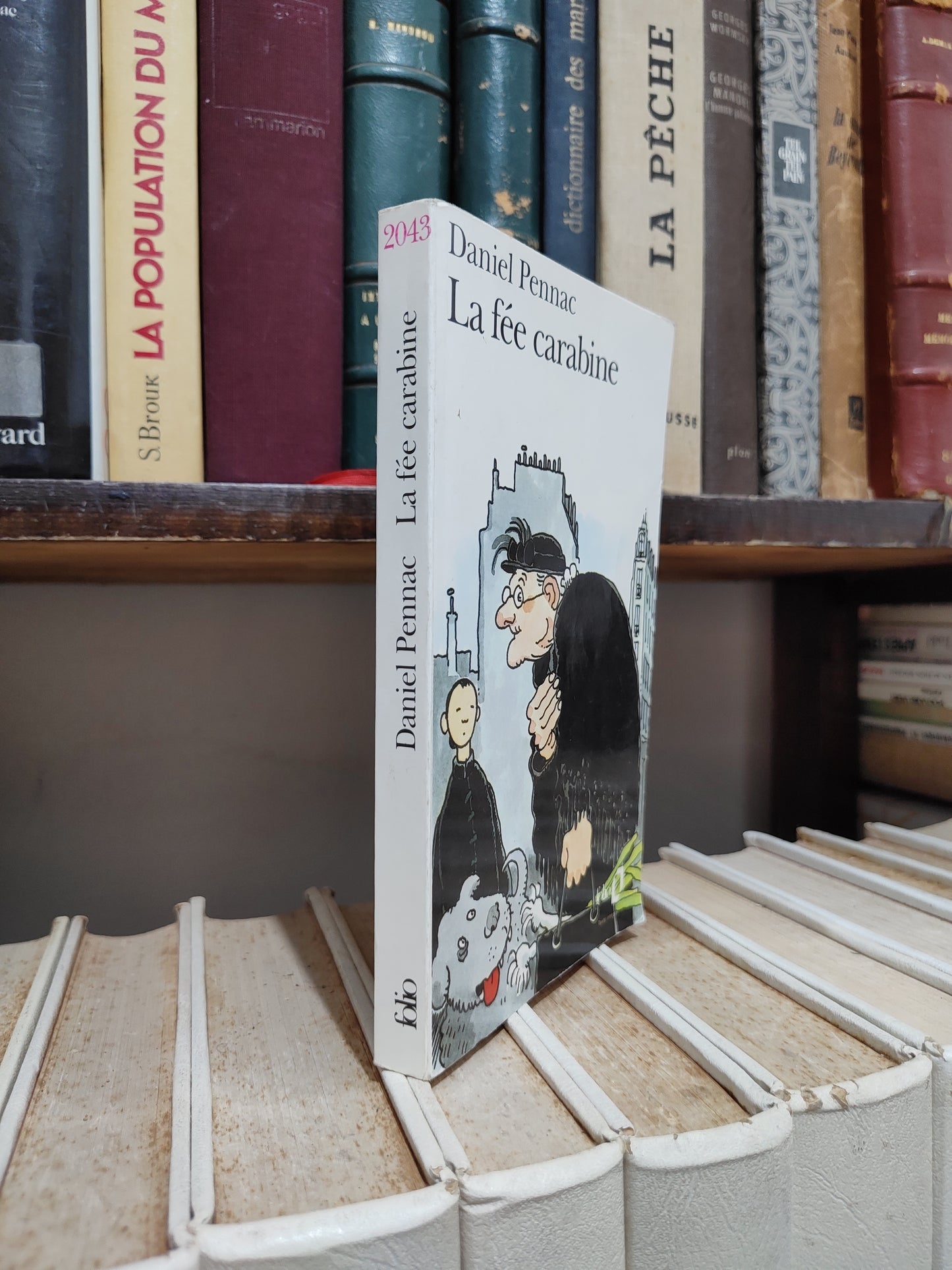 Pennac - La fée carabine