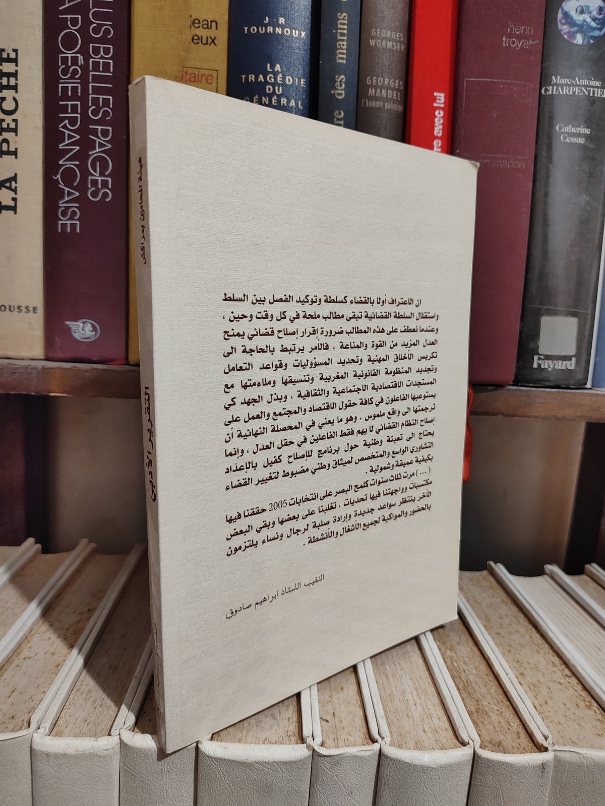 التقرير الادبي الجمعية العامة
