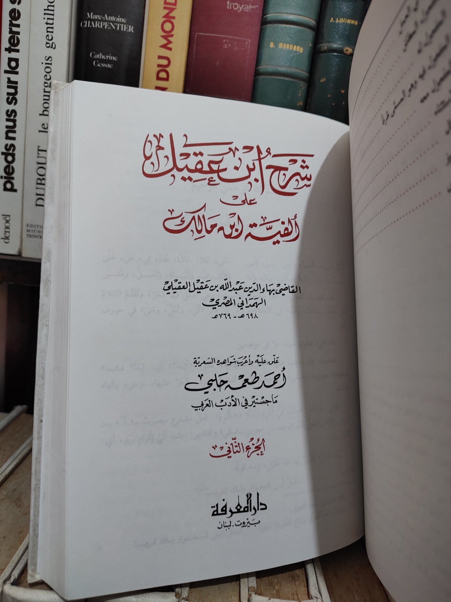 شرح ابن عقيل على الفية ابن مالك