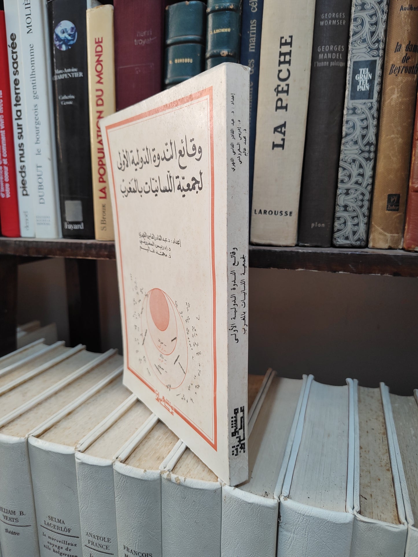الفهري - وقائع الندوة الدولية الاولى لجمعية اللسانيات بالمغرب