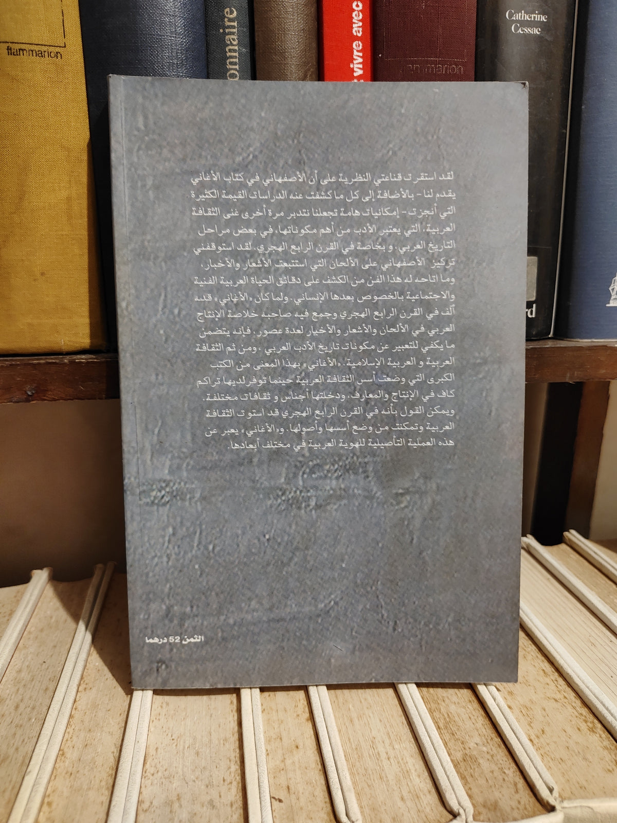 بوحسن - العرب و ناريخ الأدب