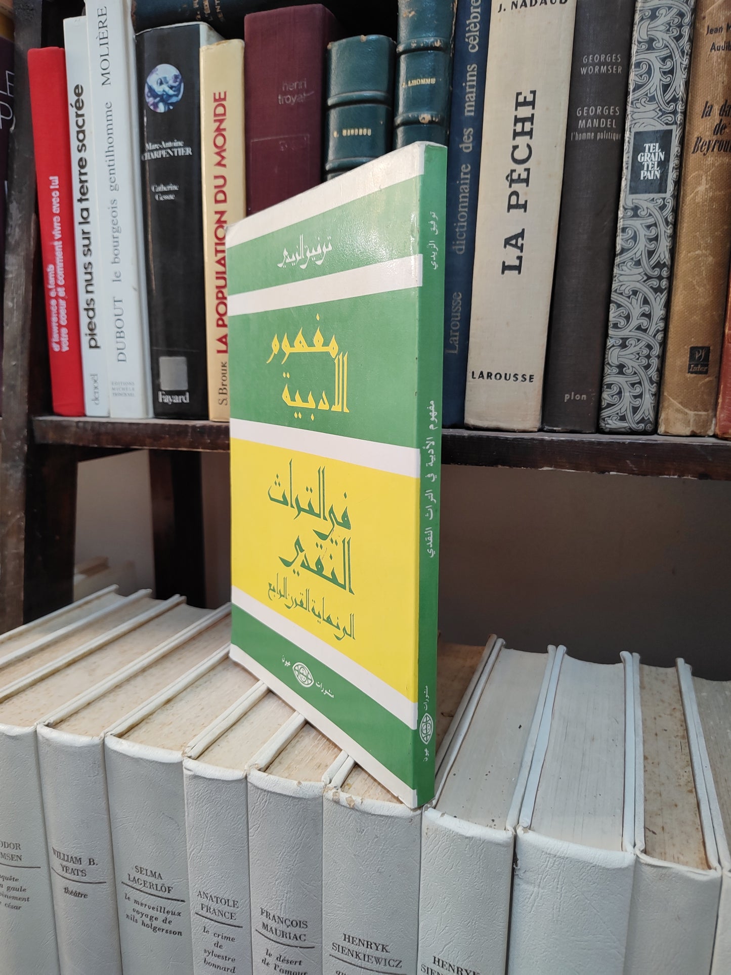 الزيدي - مفهوم الادبية في التراث النقدي