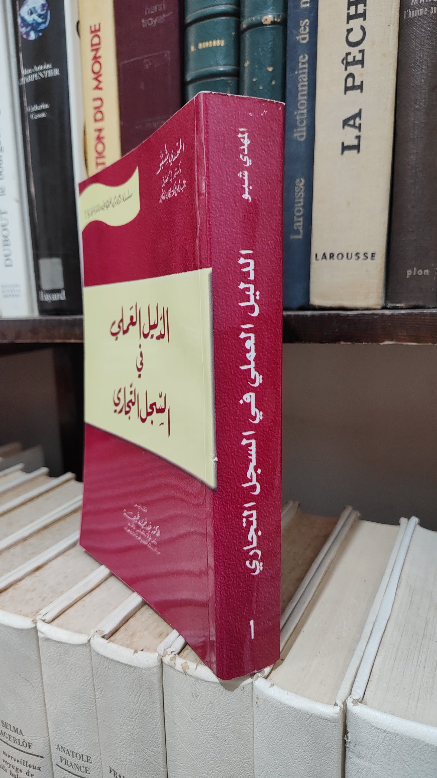 المهدي شبو - الدليل العملي في السجل التجالري