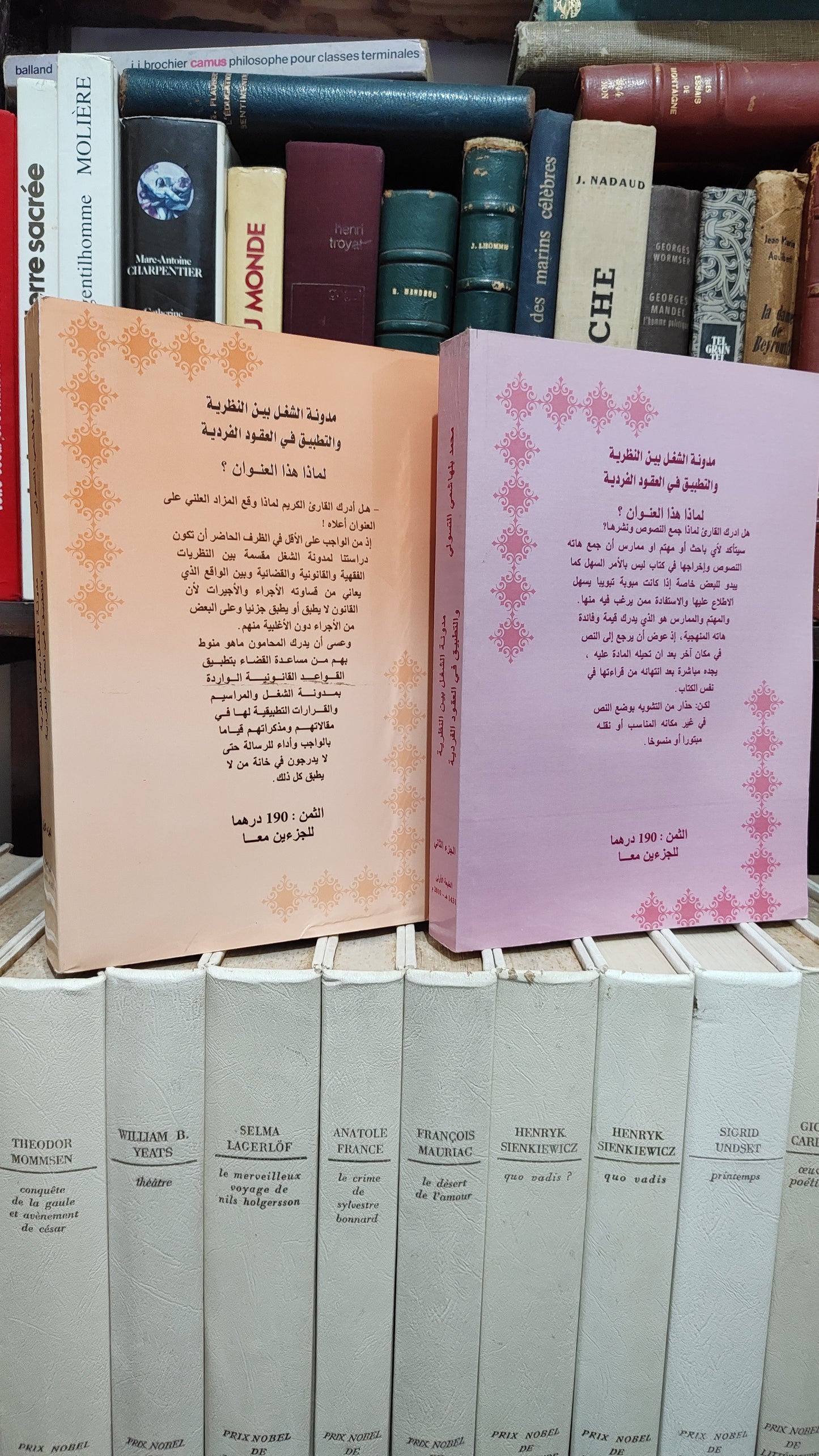 التسولي - مدونة الشغل بين النظرية و التطبيق في العقودالفردية جزء 1