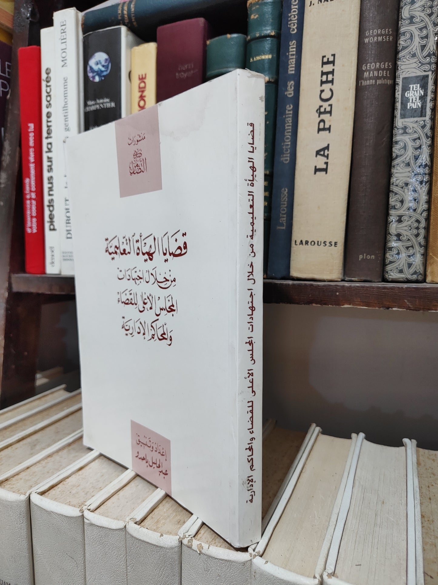 باحدو - قضاء الهيأة التعليمية من خلال اجتهادات المجلس الأعلى و المحاكم الادارية