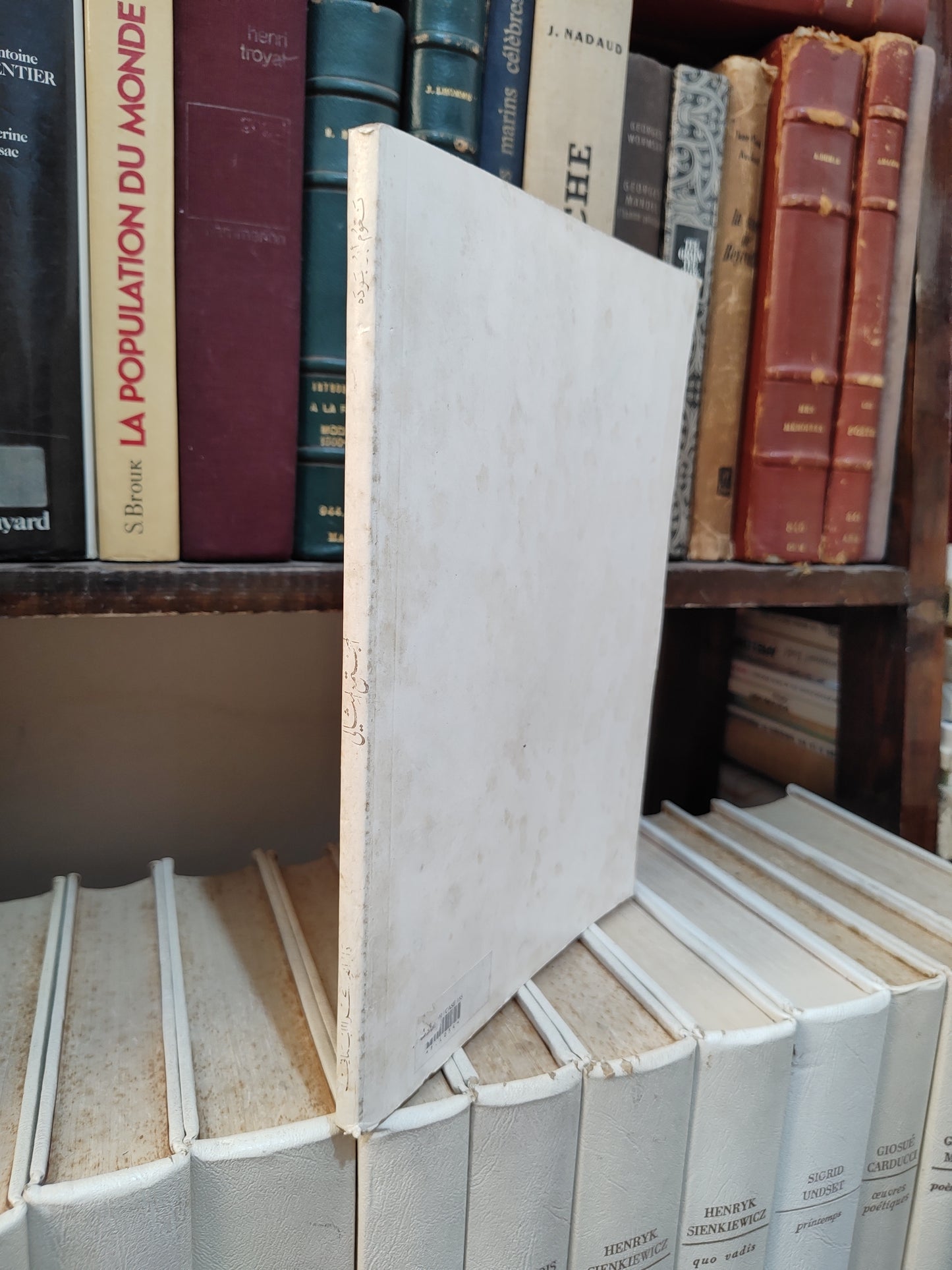 ابو جودة - المجتمع المثالي في فكر جبران و نعيمة