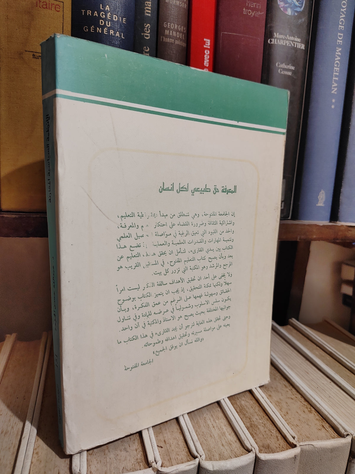 الجوجو - الأنظمة السياسة المقارنة