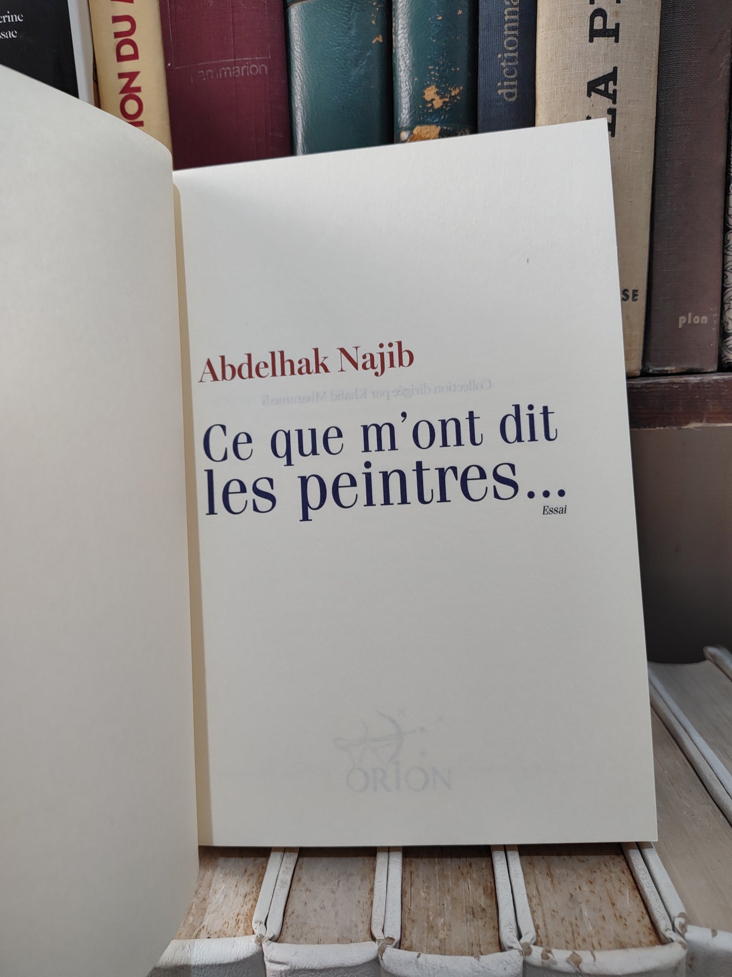 Najib - Ce que m'ont dit les peintres