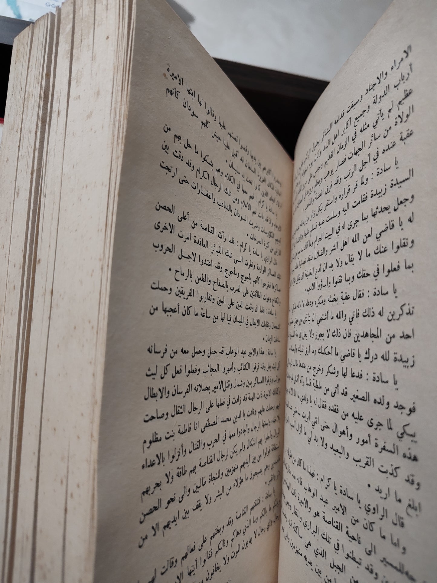سيرة الاميرة ذات الهمة