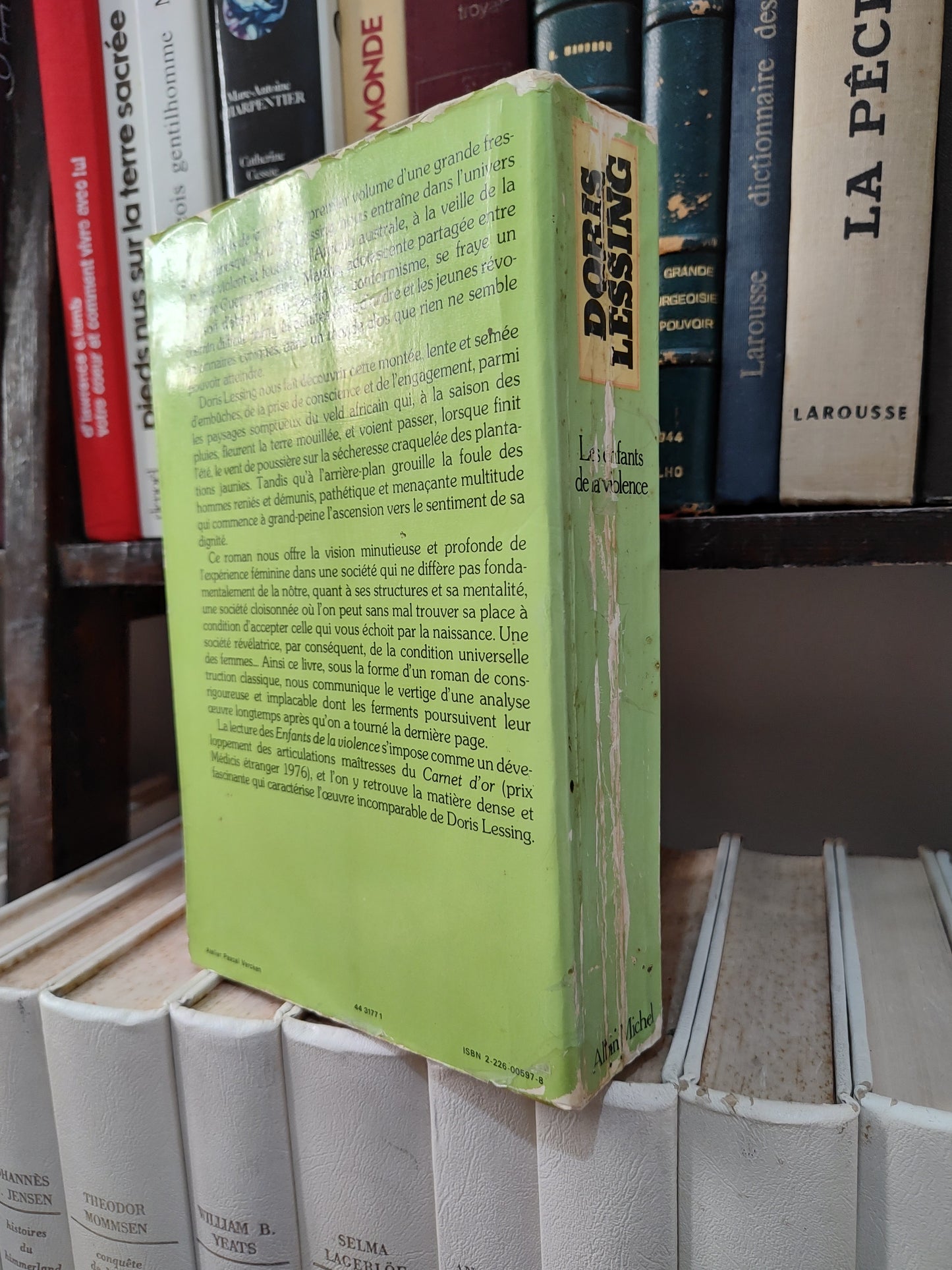 Lessing - Les enfants de ma violence