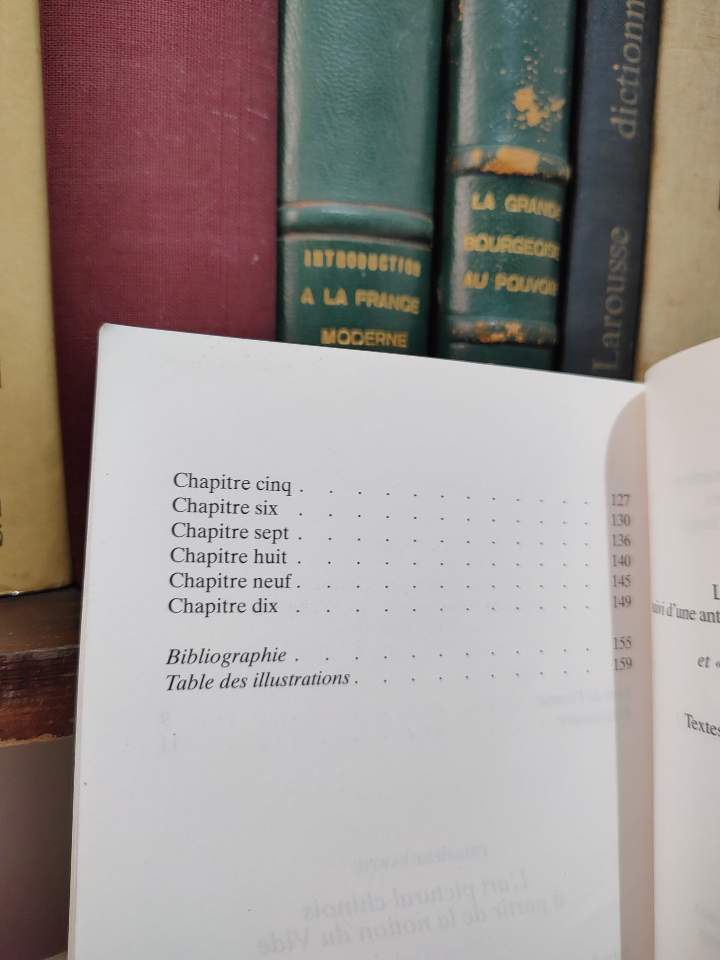 Cheng - Vilde et plein : le language pictural chinoi