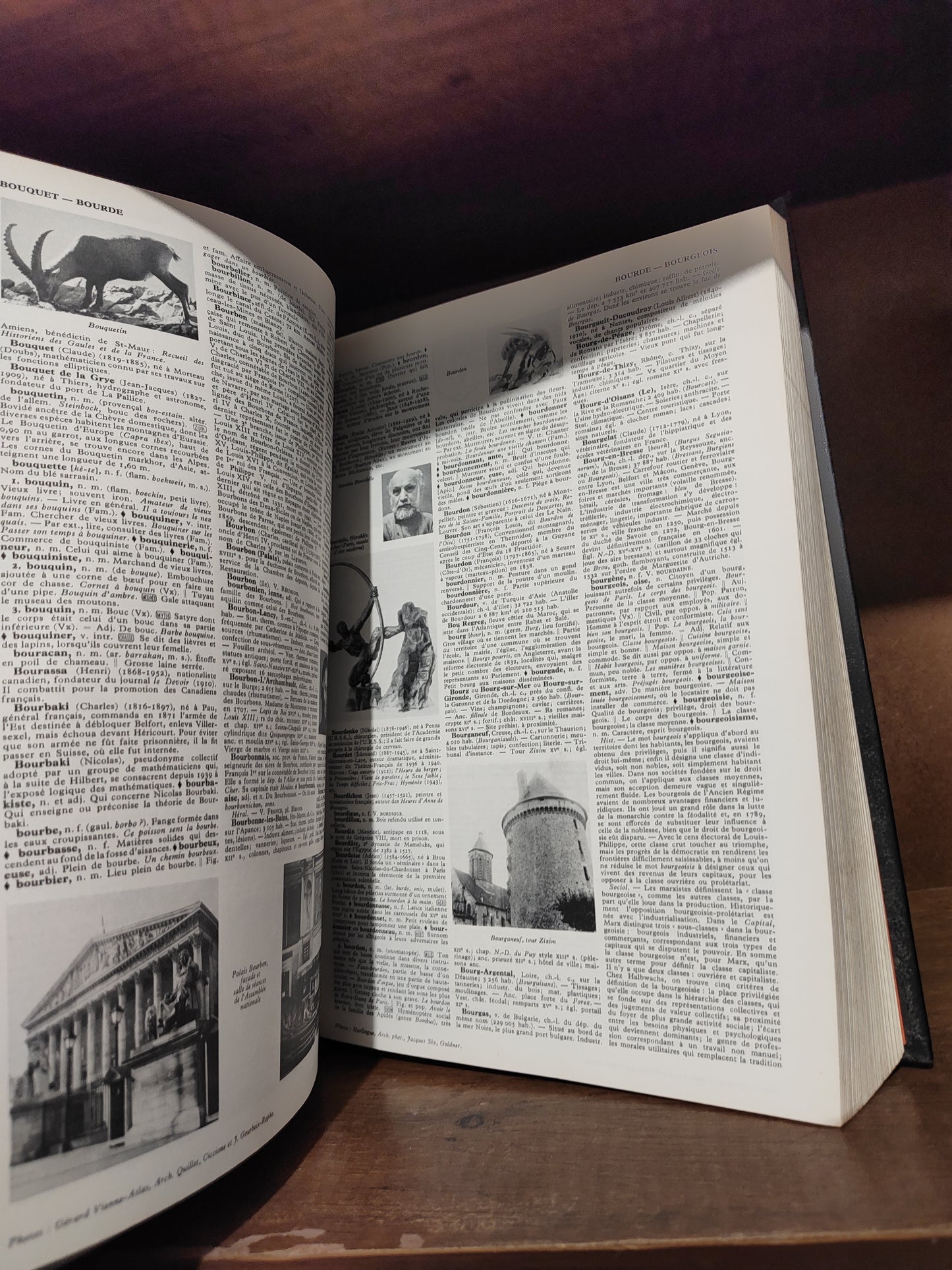 Dictionnaire Pratique Quillet