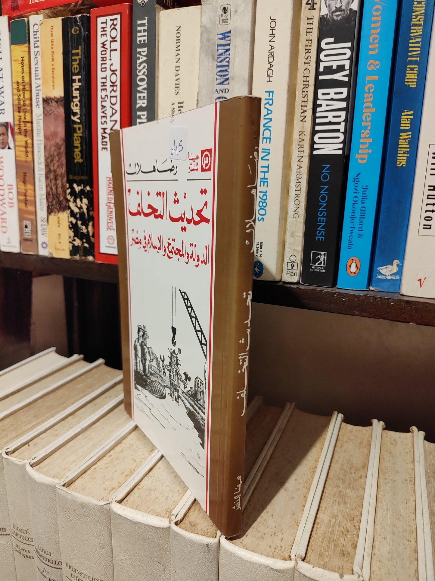 هلال - تحديث التخلف الدولة و المجتمع و الاسلام في مصر