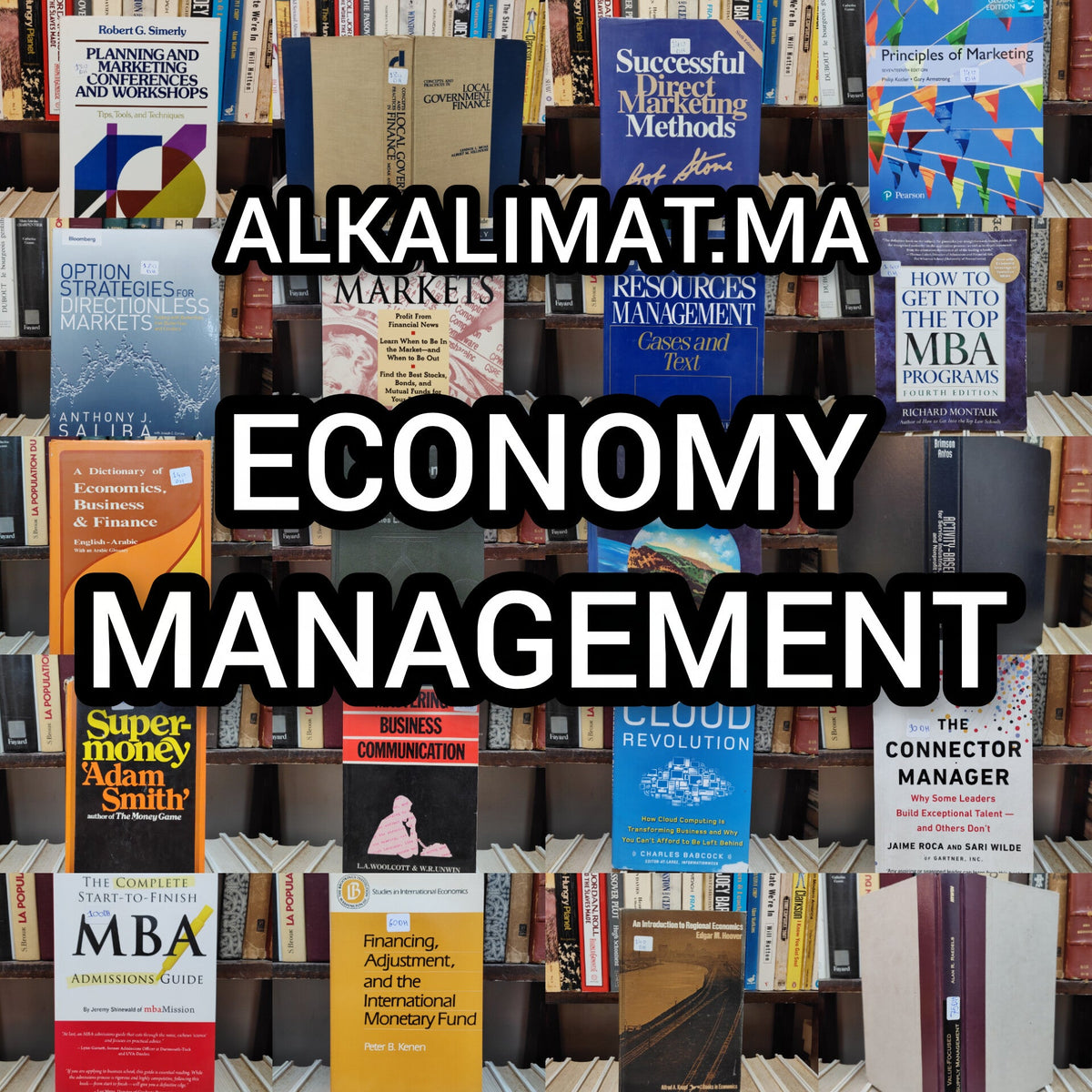 ECONOMY MANAGEMENT