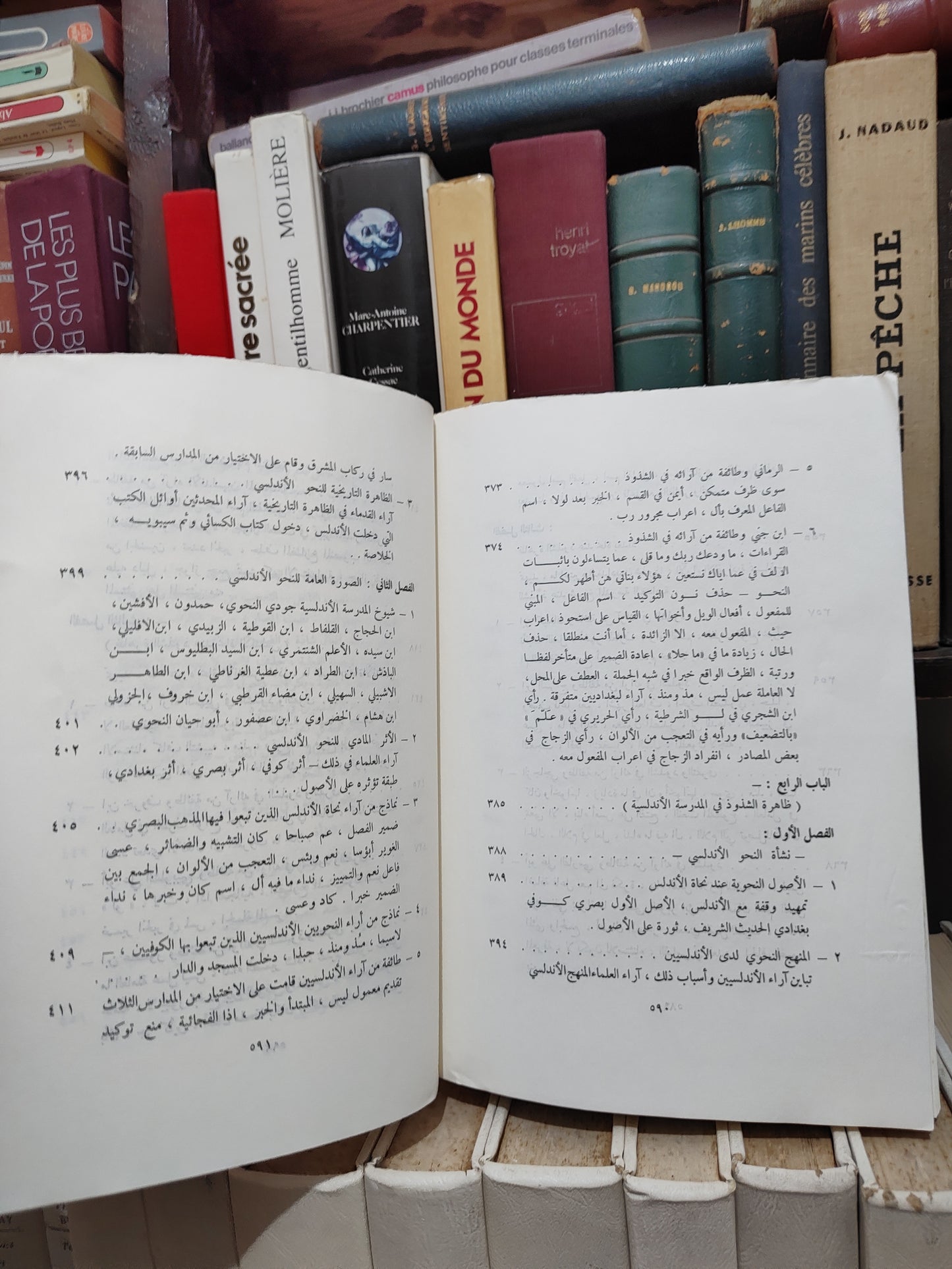 الدجيني - ظاهرة الشذوذ في النحو العربي