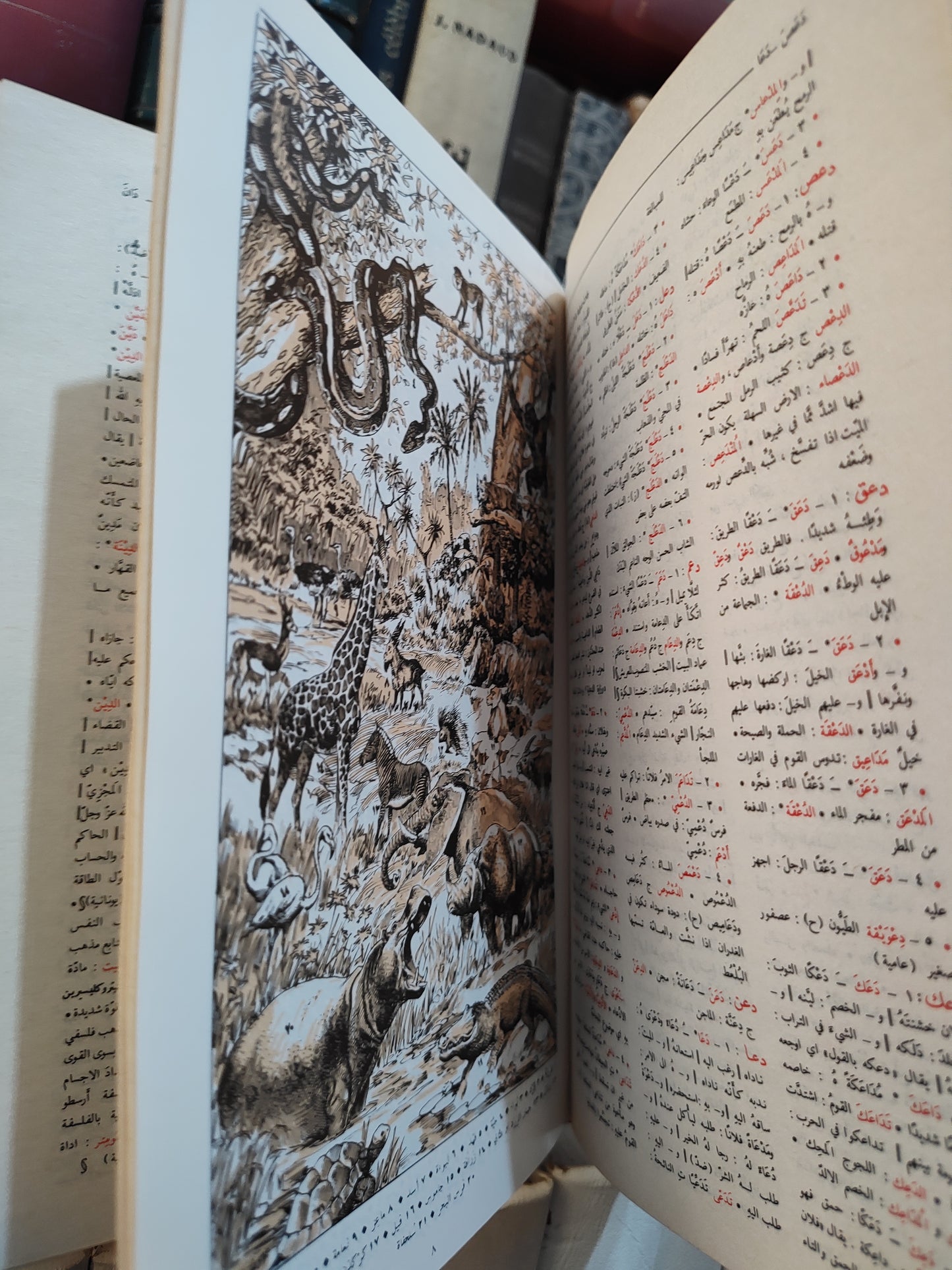 المنجد في اللغة و الأعلام