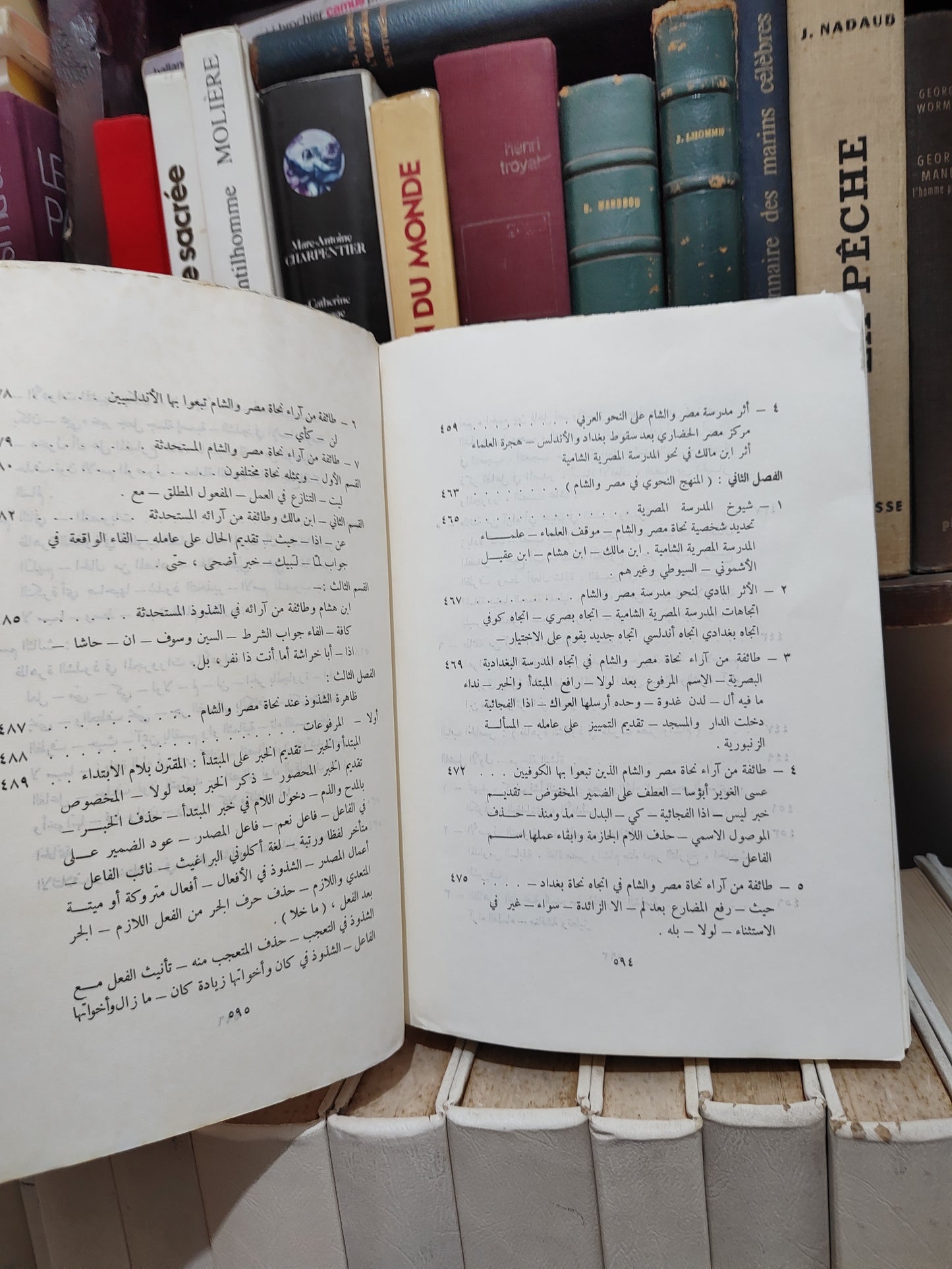 الدجيني - ظاهرة الشذوذ في النحو العربي