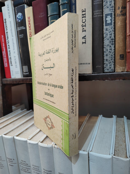 بلقزيز - بهرزة اللغة العربية في موضوع البتن جزء 1