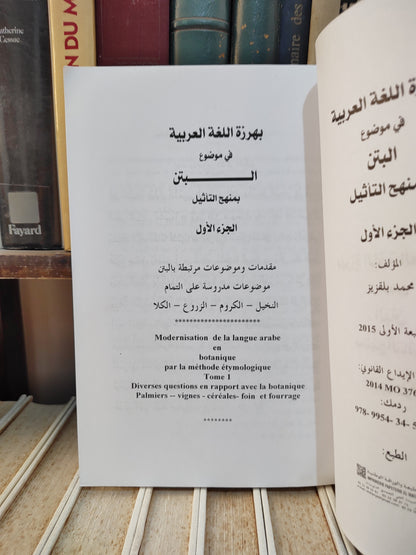 بلقزيز - بهرزة اللغة العربية في موضوع البتن جزء 1