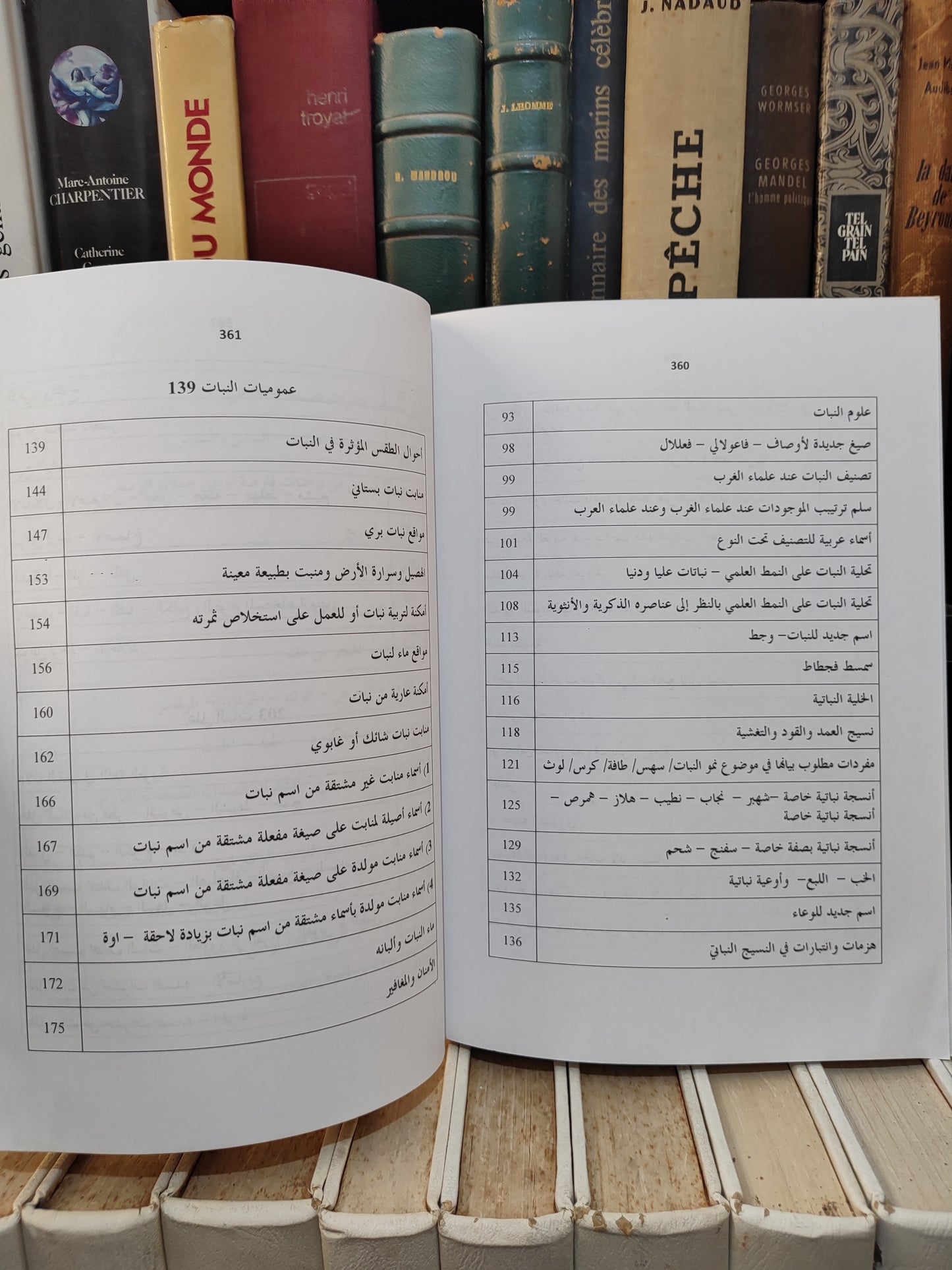 بلقزيز - بهرزة اللغة العربية في موضوع البتن جزء 1