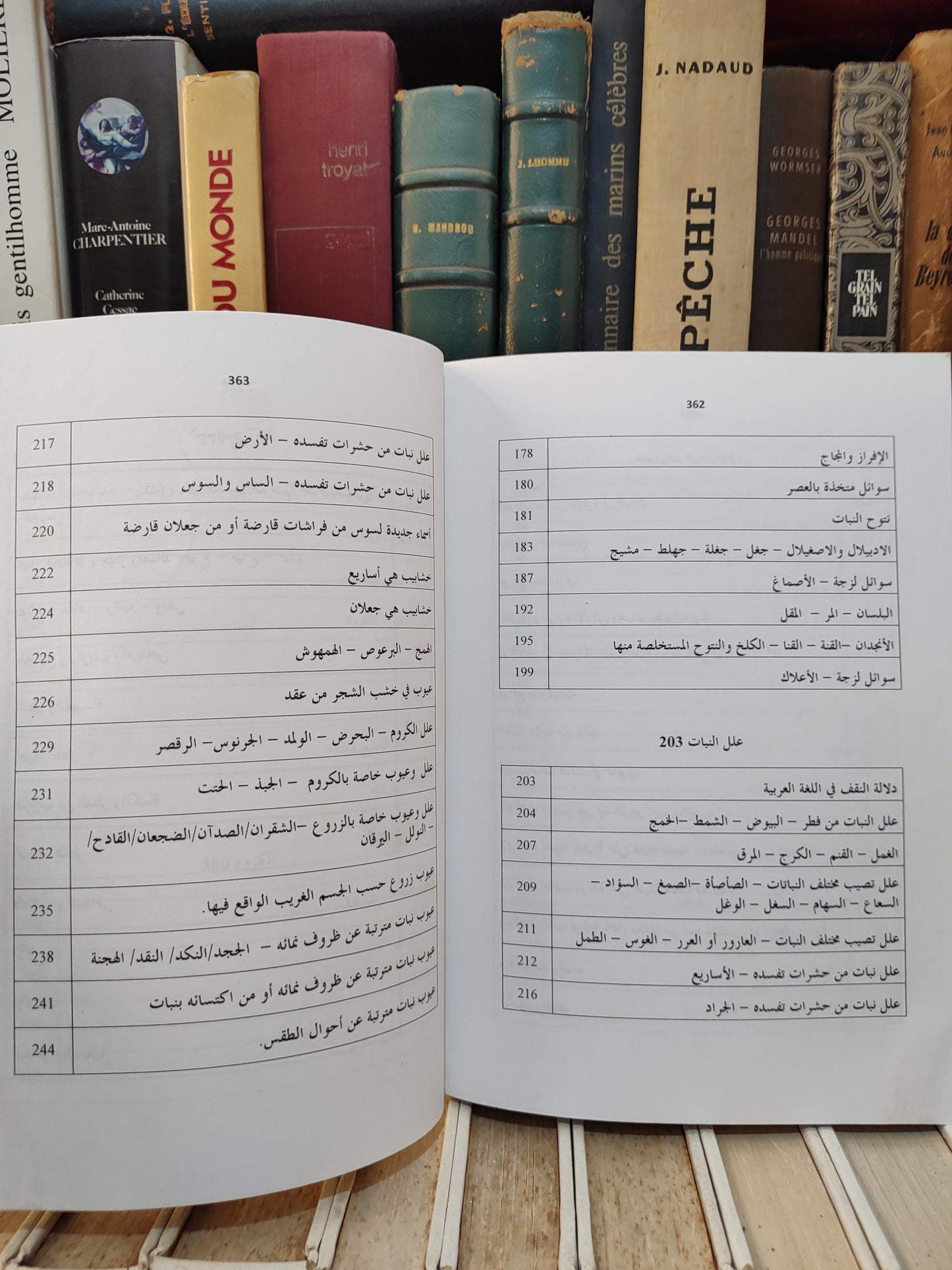 بلقزيز - بهرزة اللغة العربية في موضوع البتن جزء 1