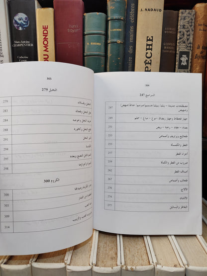 بلقزيز - بهرزة اللغة العربية في موضوع البتن جزء 1