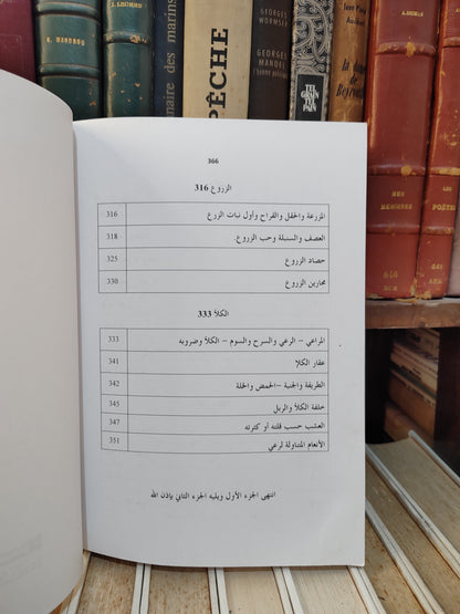 بلقزيز - بهرزة اللغة العربية في موضوع البتن جزء 1