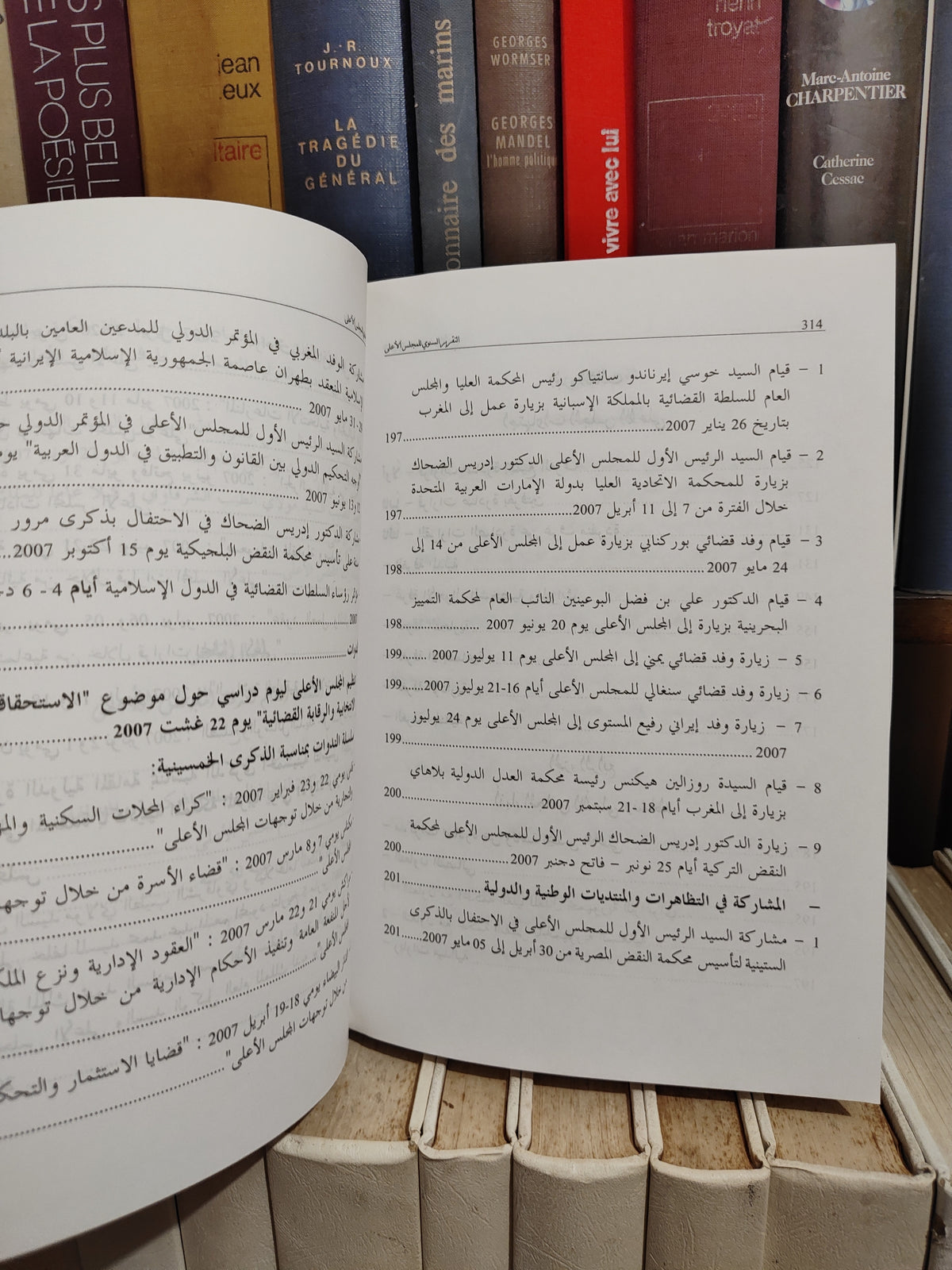 التقرير السنوي للمجلس الاعلى 2007