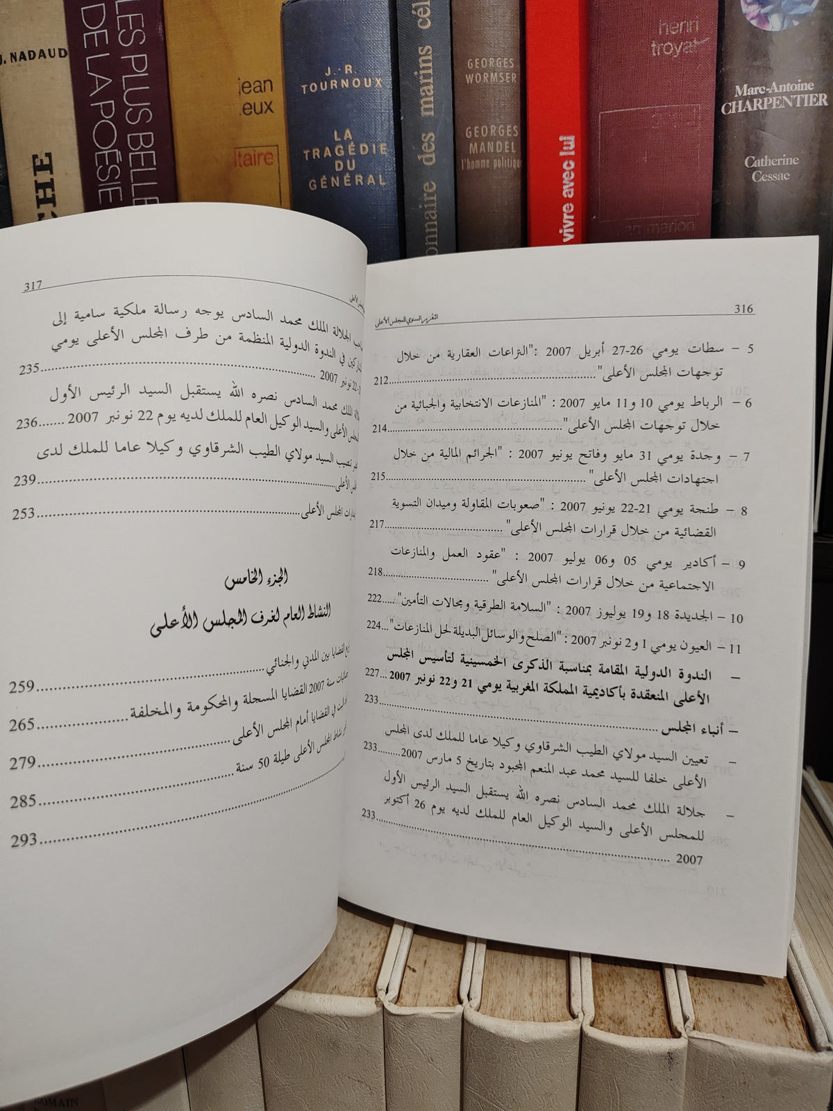 التقرير السنوي للمجلس الاعلى 2007