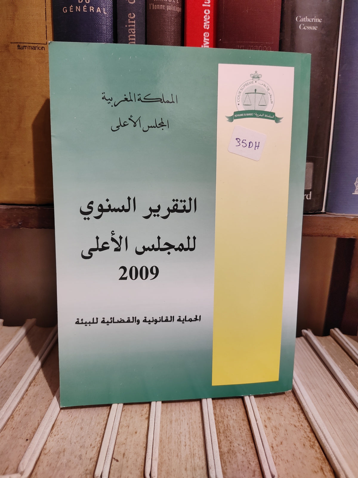 التقرير السنوي للمجلس الاعلى 2009