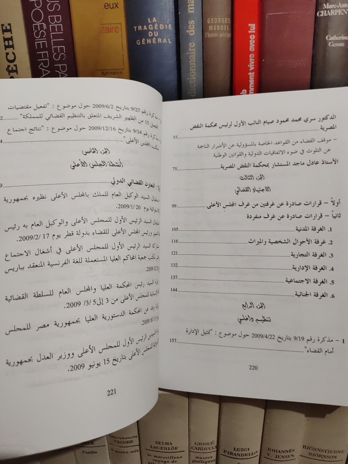 التقرير السنوي للمجلس الاعلى 2009