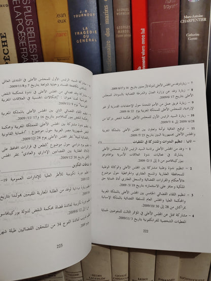 التقرير السنوي للمجلس الاعلى 2009