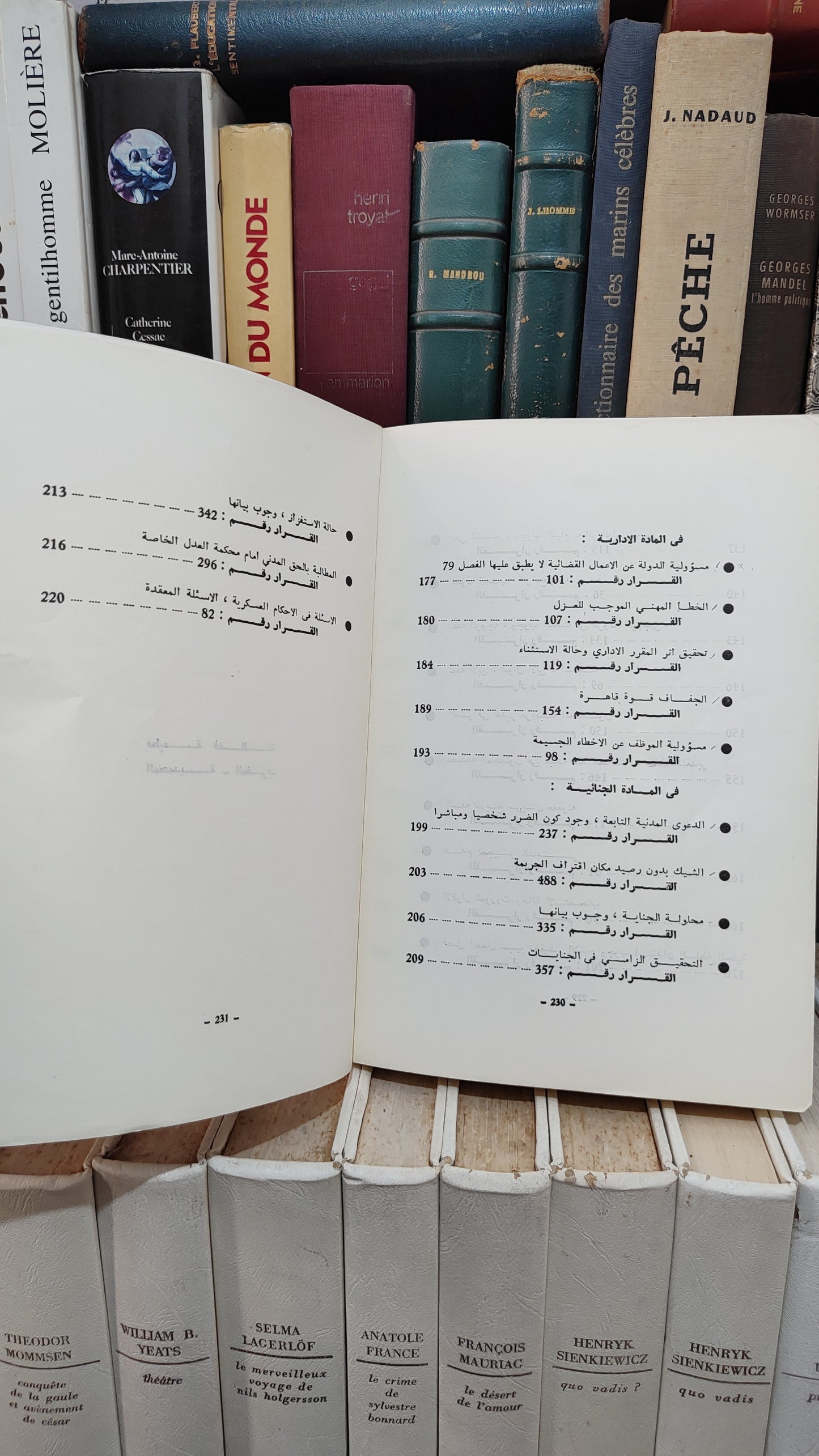 قضاء المجلس الاعلى 25