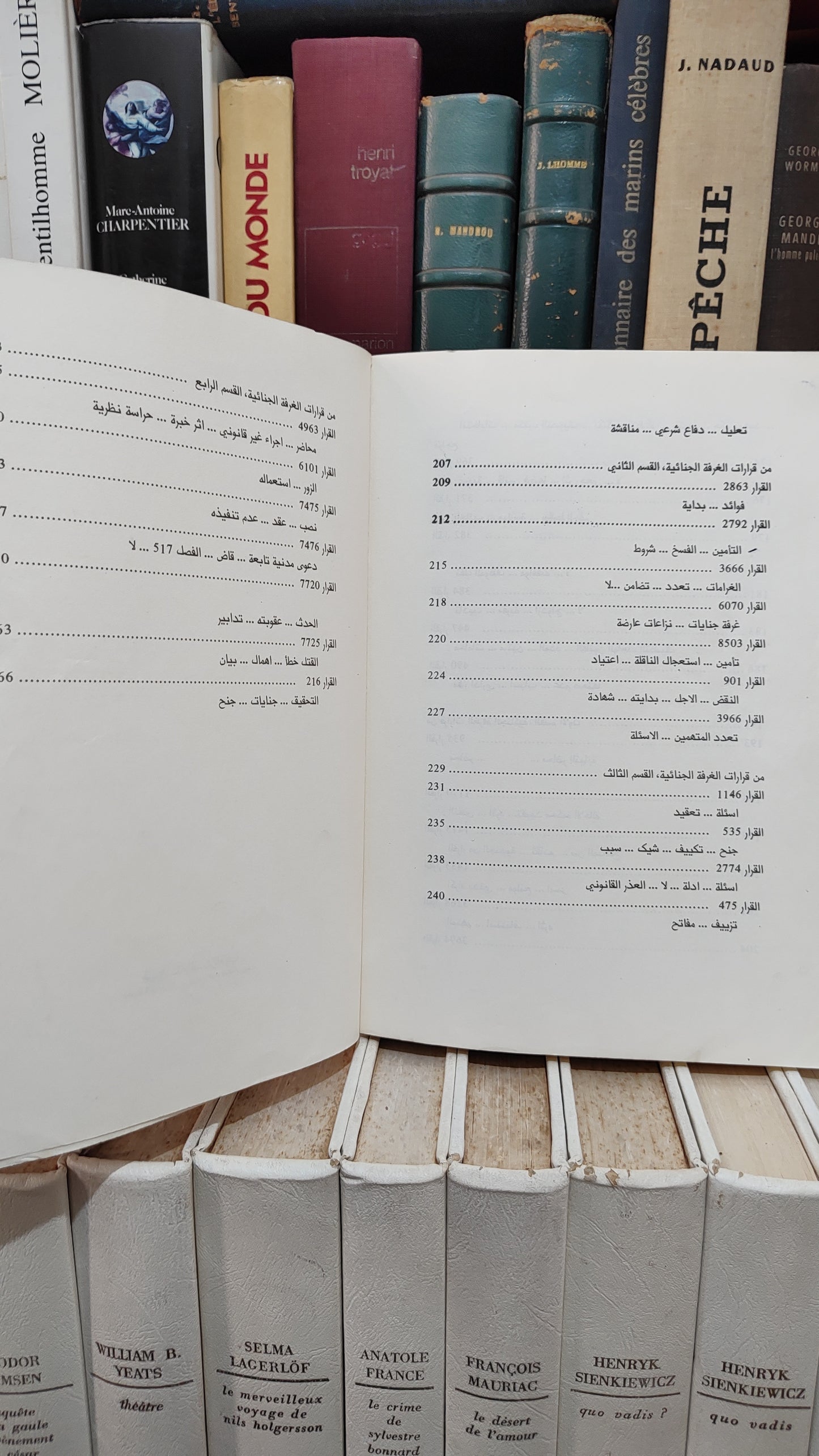 قضاء المجلس الاعلى 38-37