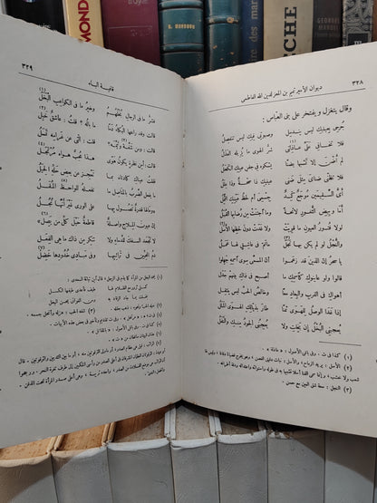 ديوان بن المعز لدين الله الفاطمي
